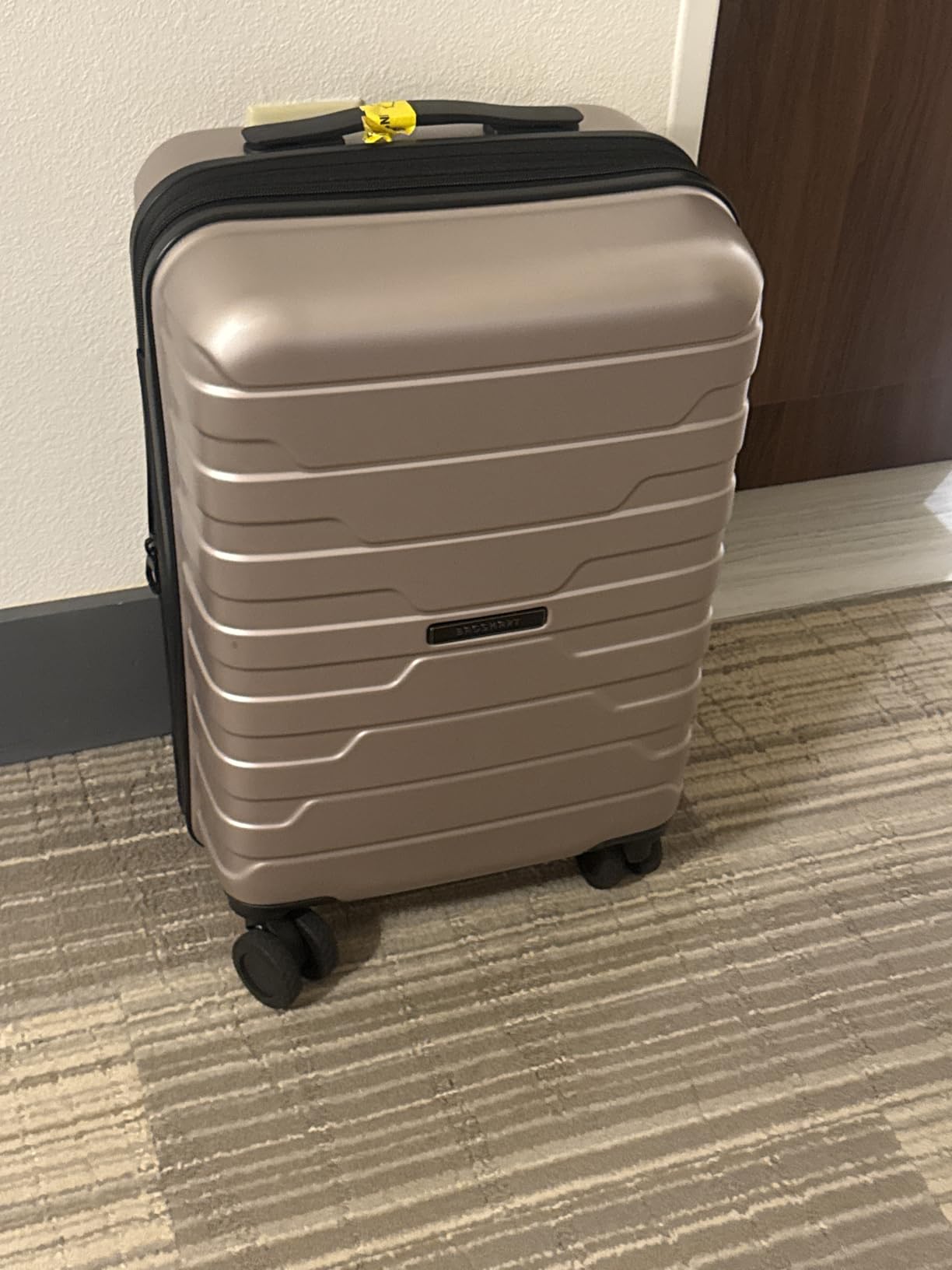 BAGSMART Carry-On Luggage 20