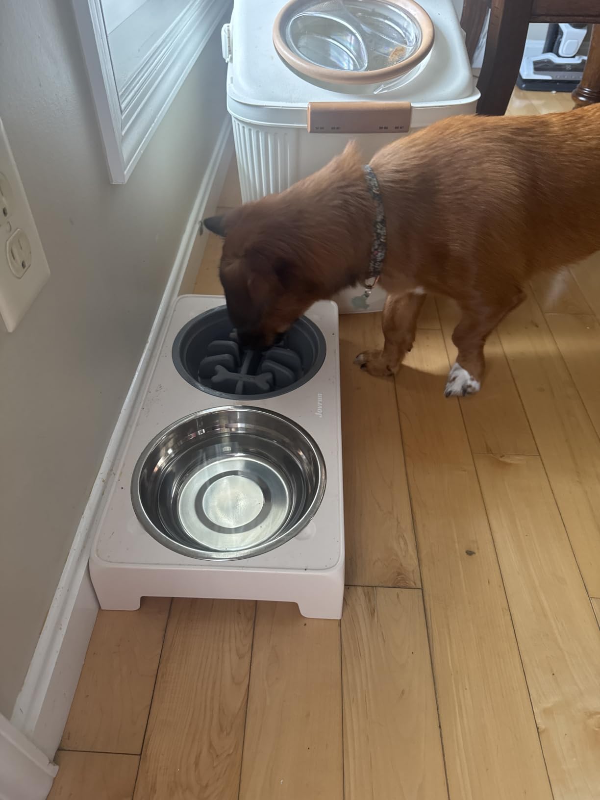 Jovrun Elevated Dog Bowls for Medium Large Size Dogs, Non-Slip Dog Feeder with Stainless Steel & Slow Feeder Bowl, 5 Heights Adjustable customer photo 1