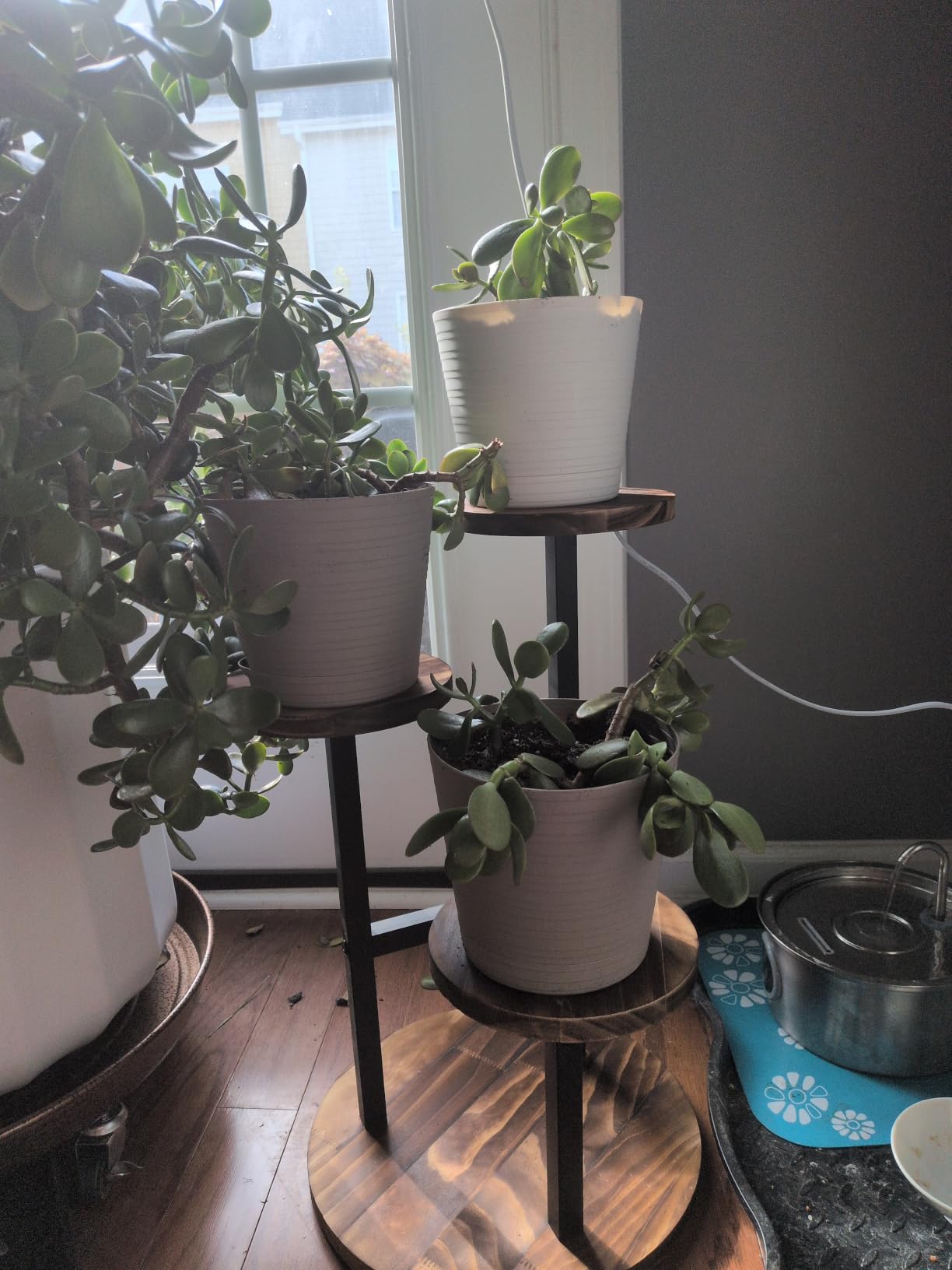 3 Tier Plant Stand Indoor | Metal Wood Plant Stands For Indoor Plants Multiple, Corner Tiered Flower Plants Shelf Stand for Living Room Bedroom, Brown customer photo 2