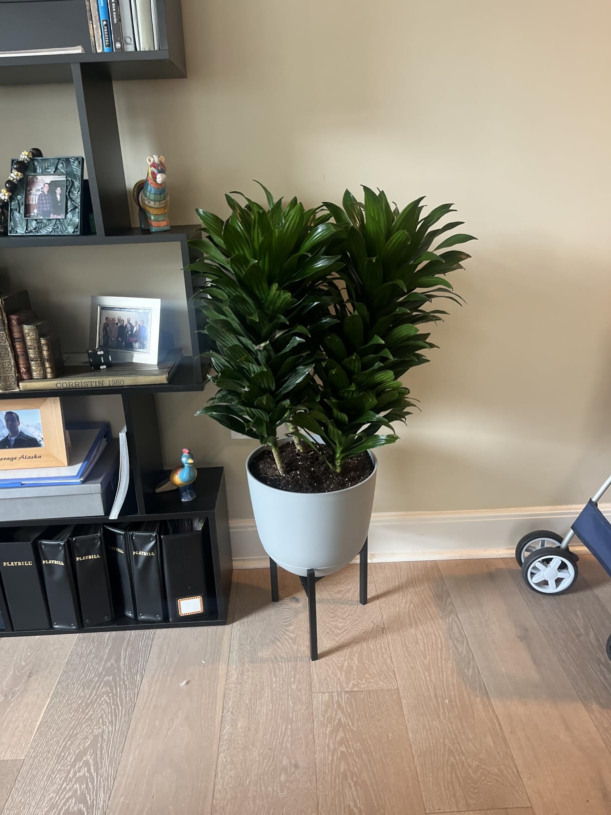 Airpark Plant Stand Indoor Adjustable, Metal Modern Plant Stands, Heavy Duty Stable Plant Pot Flower Holder Indoor Outdoor Corner, Fit 8 9 10 11 12 inch Pots, Black customer photo 1