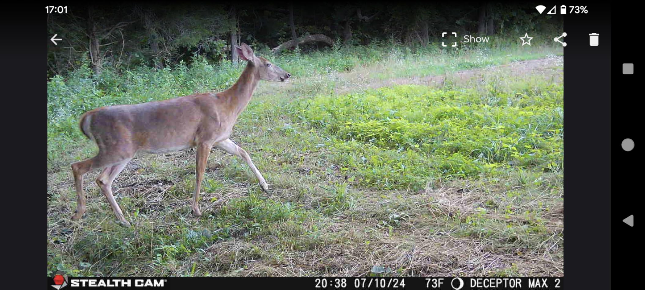 Stealth Cam Deceptor MAX Dual Sim 40MP Photo & 1440P QHD Video No-Glo LED Hunting Cellular Trail Camera, Available on AT&T & Verizon - 2 Pack | 80 Ft Detection customer photo 1
