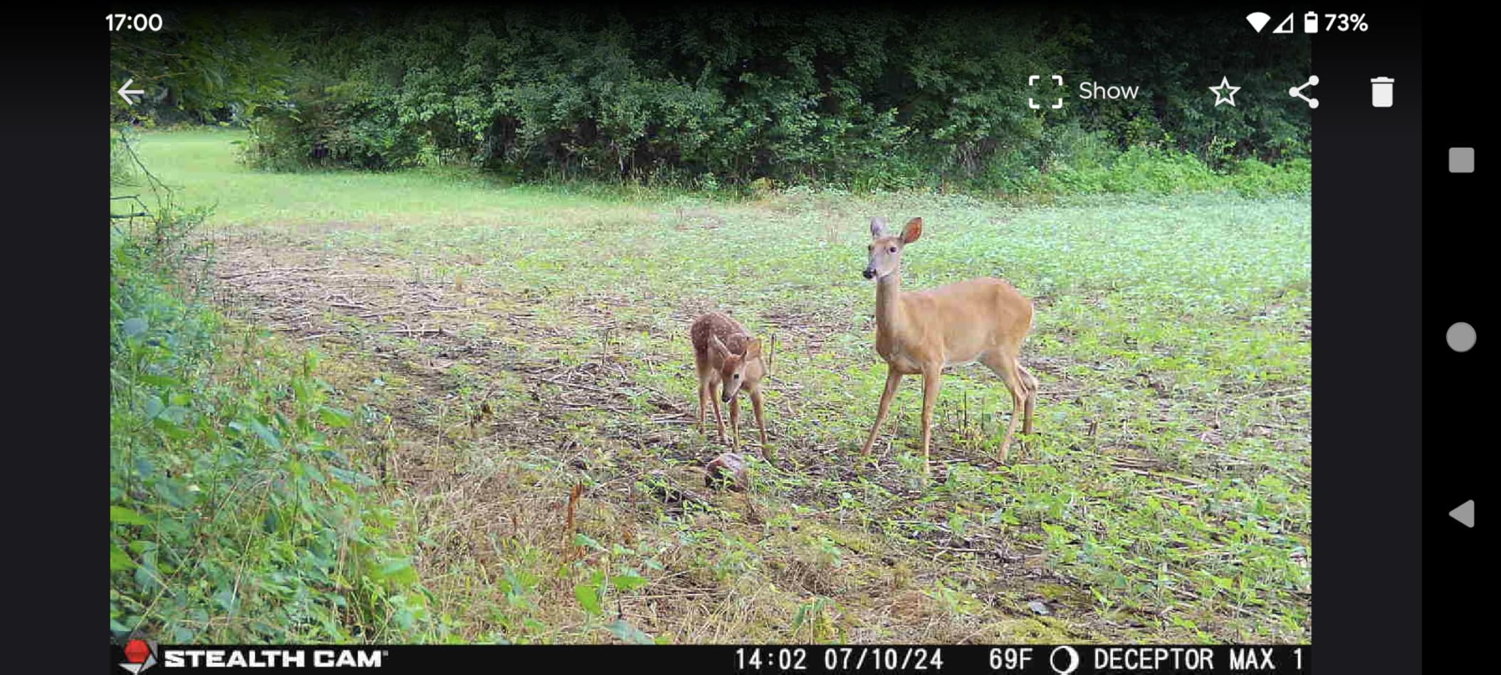 Stealth Cam Deceptor MAX Dual Sim 40MP Photo & 1440P QHD Video No-Glo LED Hunting Cellular Trail Camera, Available on AT&T & Verizon - 2 Pack | 80 Ft Detection customer photo 2