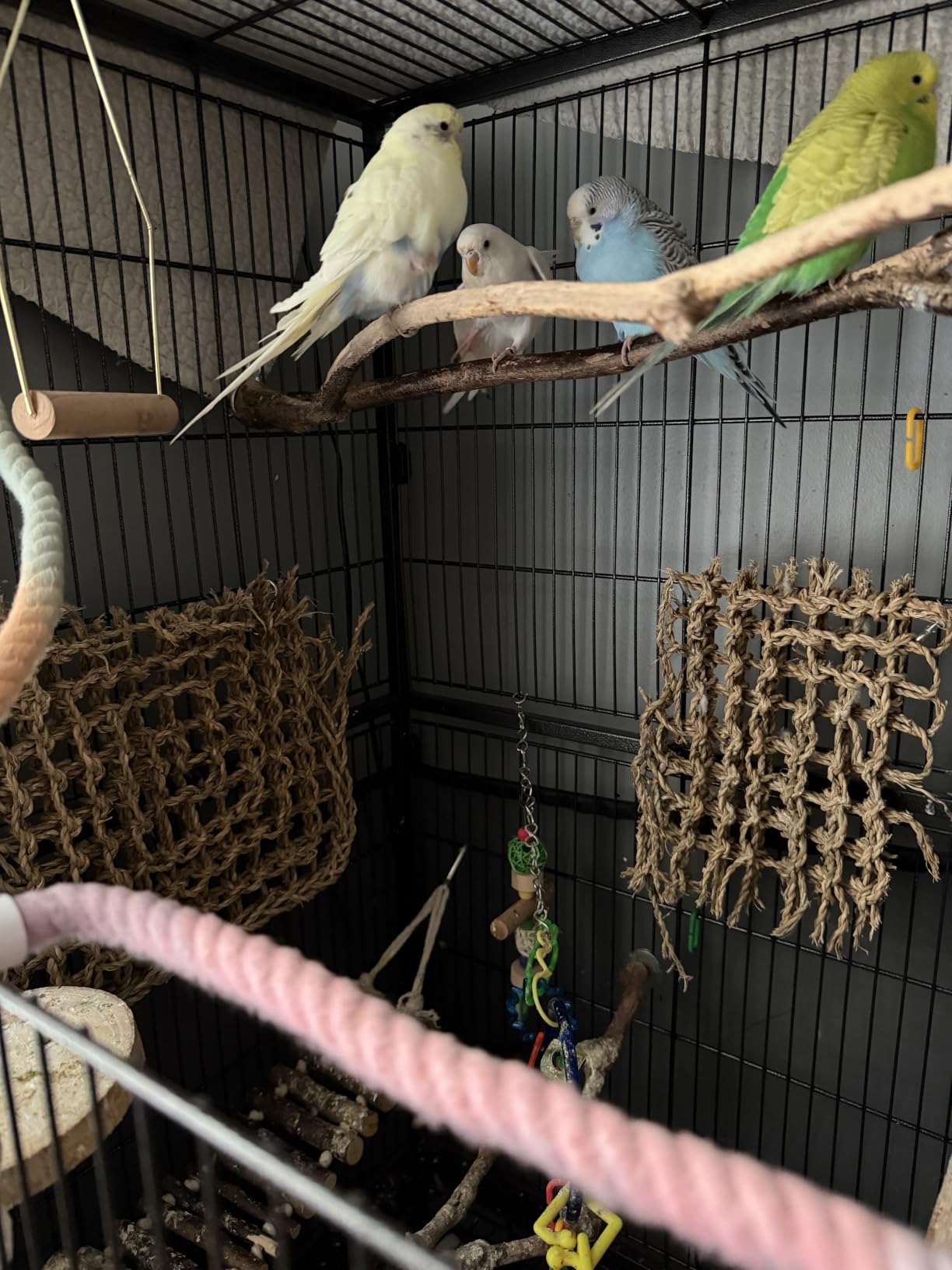 Yaheetech 52inch Bird Cage Extra Large Parakeet Parrot Cage for Lovebird Cockatiel Conure Finch with Rolling Stand White customer photo 1