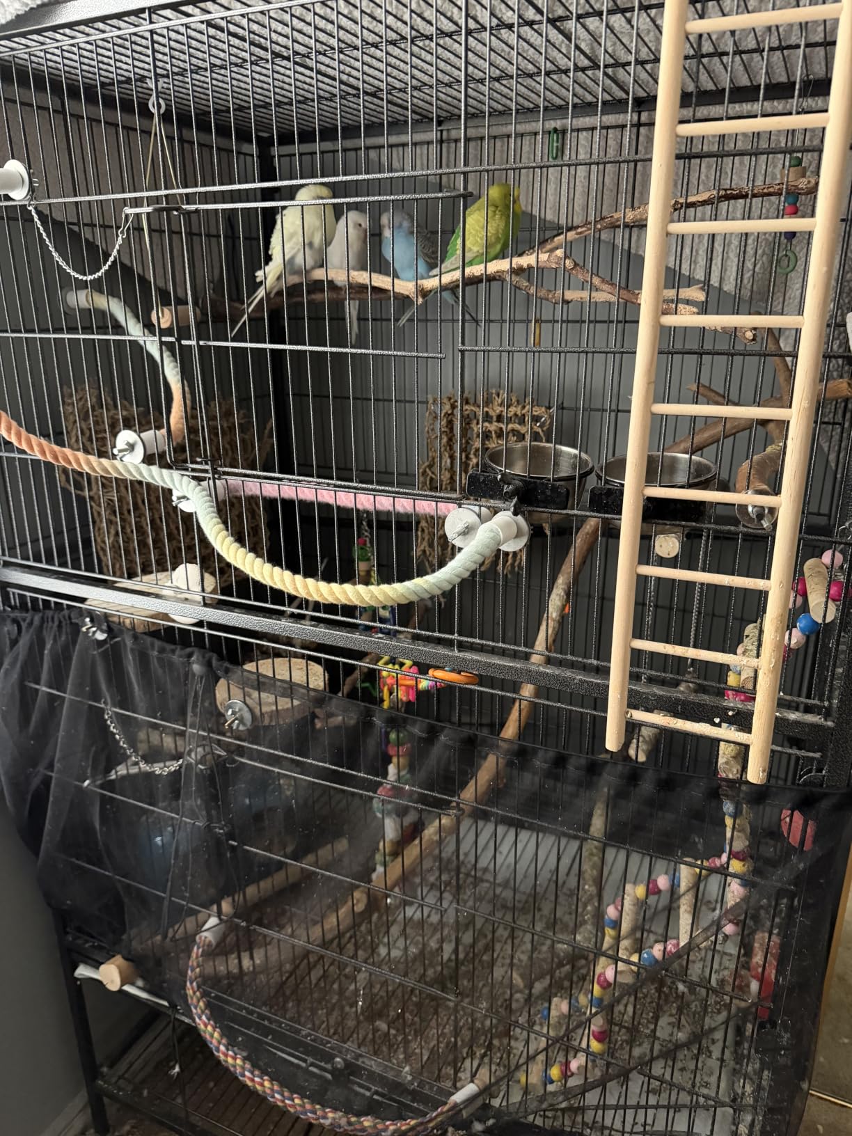 Yaheetech 52inch Bird Cage Extra Large Parakeet Parrot Cage for Lovebird Cockatiel Conure Finch with Rolling Stand White customer photo 2