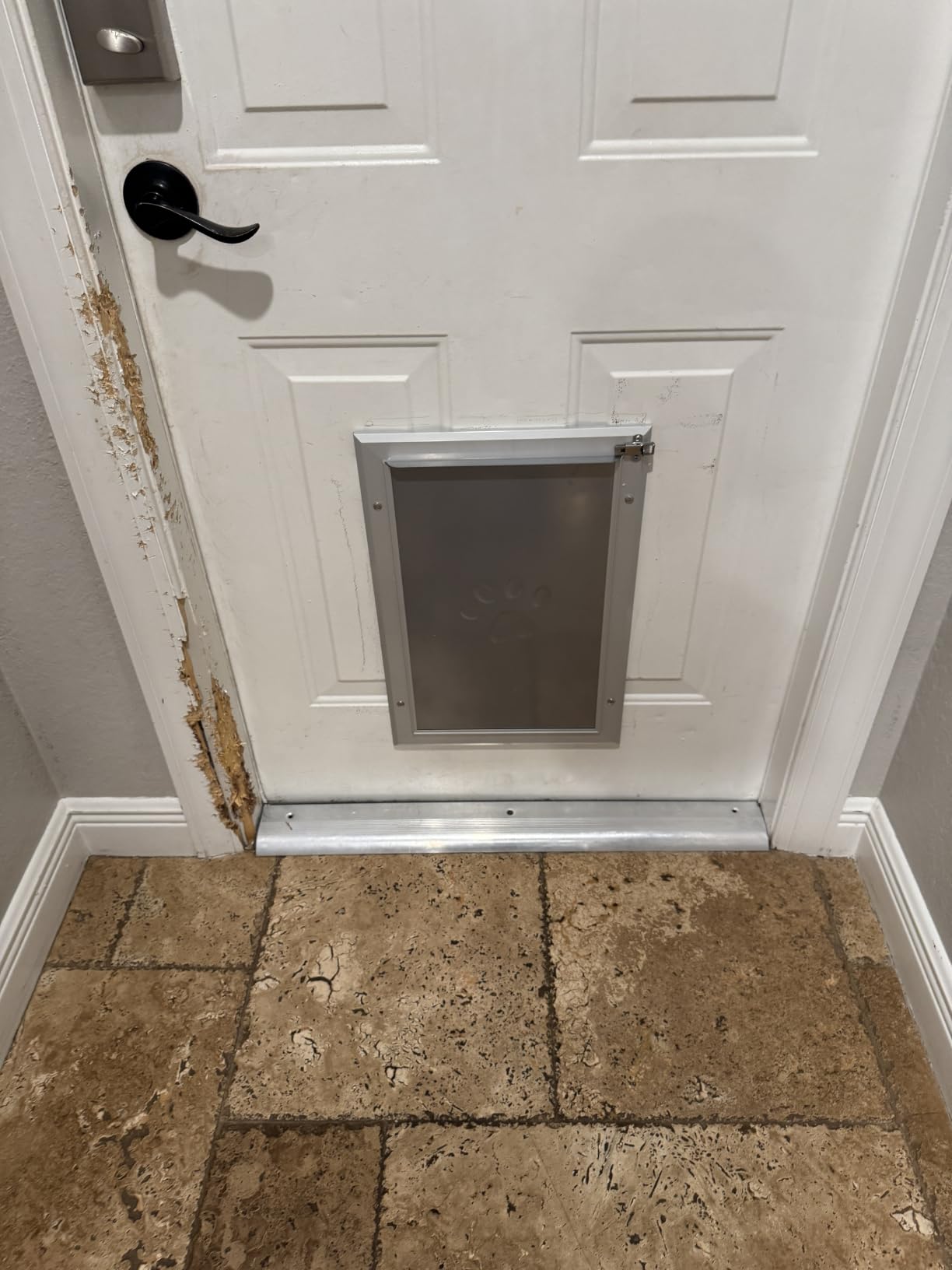 [Petoasis] 3-Flaps Heavy-Duty Dog Door, Rust Proof Aluminum Alloy Frame, Extreme Weather Dog Door Can Block Wind, Snow, and Rainwater Intrusion (Silvery White, Large for Door) customer photo 1