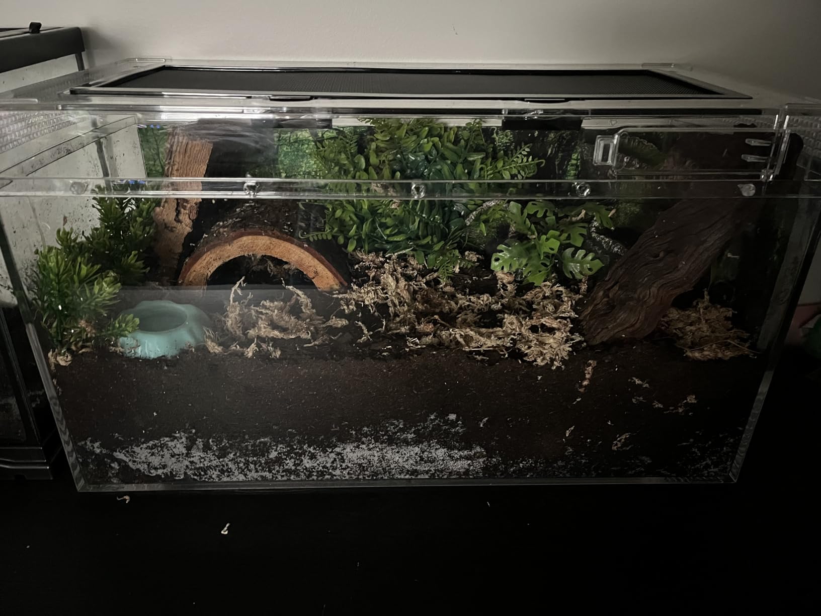 Reptile PC Terrarium Set, Reptile Tank 20