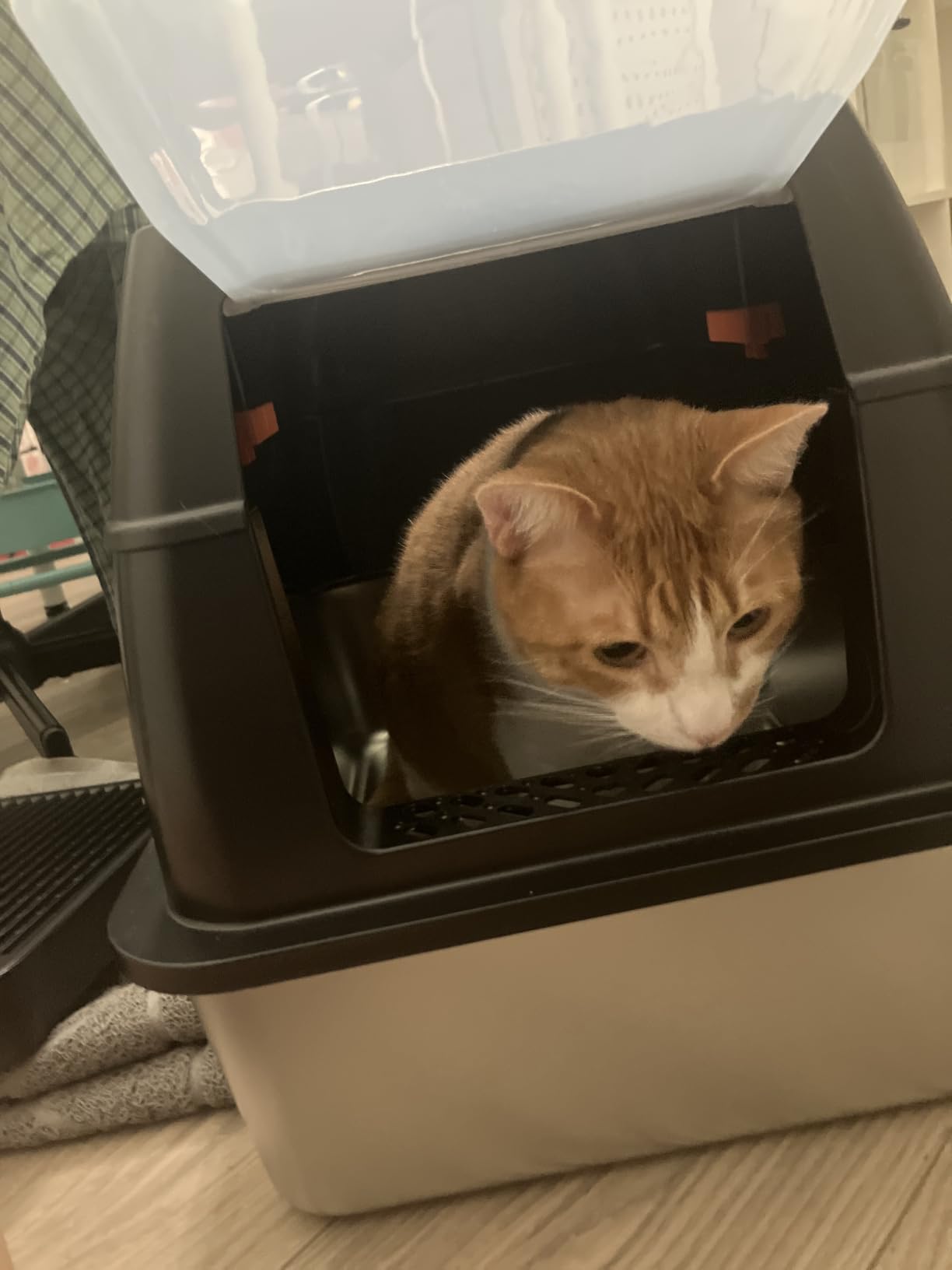 Lobeve Extra Large Stainless Steel Litter Box with Lid, Easy-Clean Pan, Enclosed Litter Box with Leak-Resistant Design, High Sides, Front Entry and Top Exit, Odor Control, Scoop and Mat Included customer photo 2