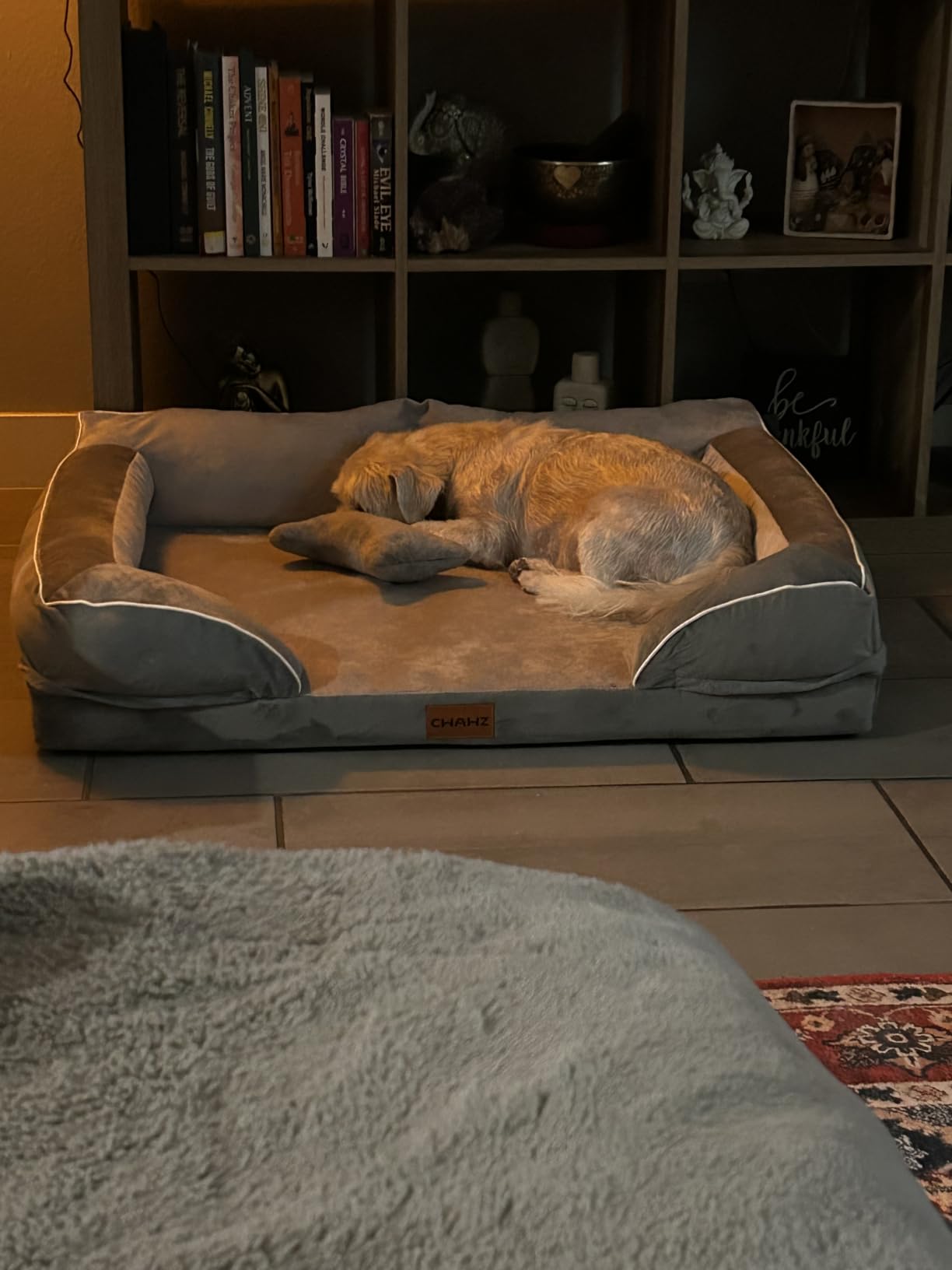 CWAWZ Extra Large Dog Bed, Orthopedic XL Dog Bed with Cooling Gel Memory Foam, Waterproof Pet Bed with Removable Washable Cover, 42
