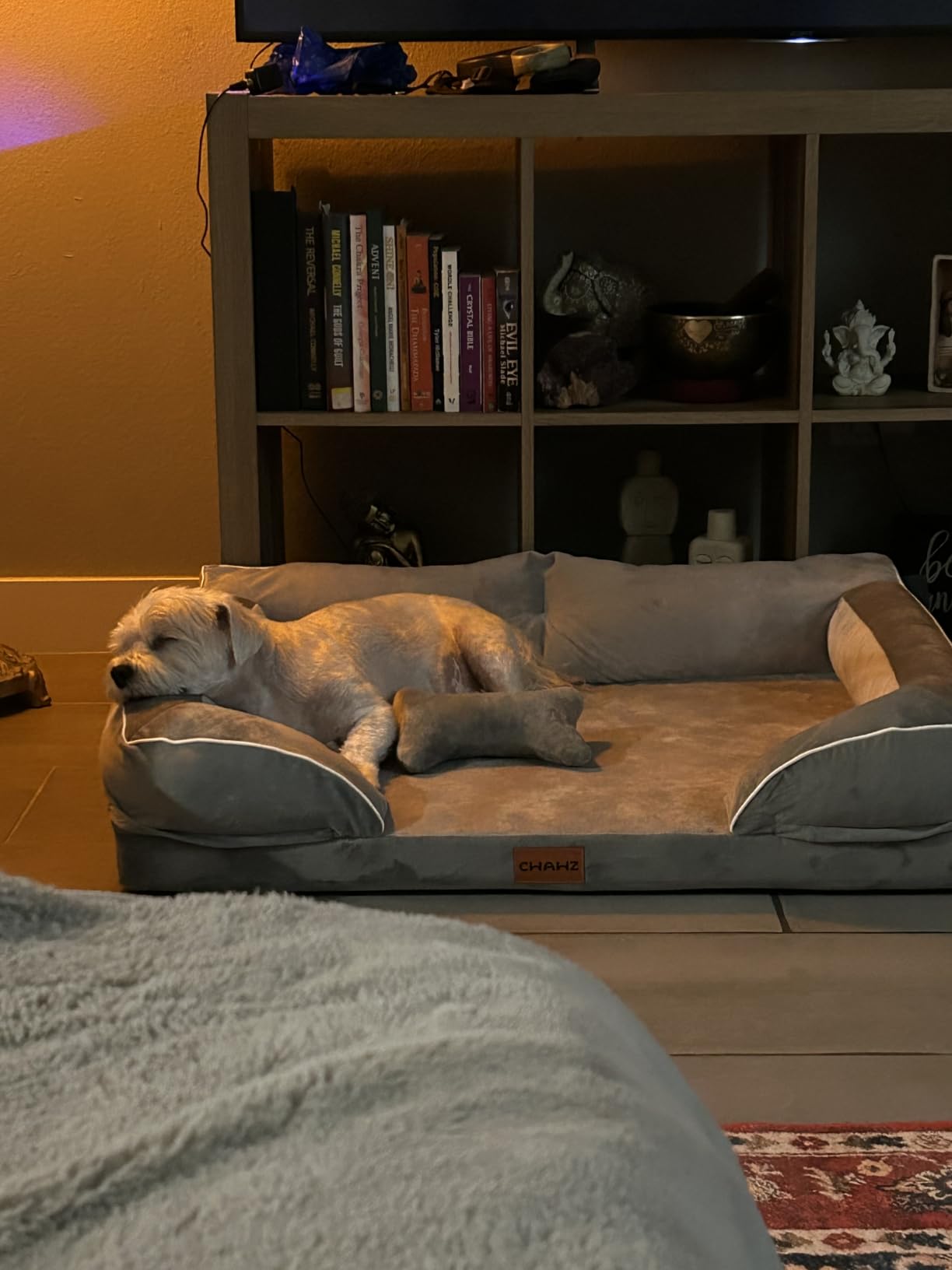 CWAWZ Extra Large Dog Bed, Orthopedic XL Dog Bed with Cooling Gel Memory Foam, Waterproof Pet Bed with Removable Washable Cover, 42