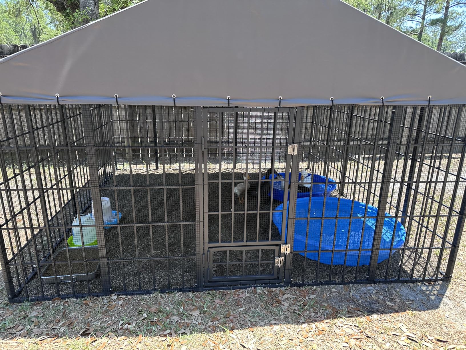 Gotland Dog Kennel Outdoor 10 x10 x6 FT, Dog Cage Outdoor for Medium/Large Dogs with Waterproof Roof Double Secure Locks Ground Spikes, All Weather Heavy Duty Dog Enclosure customer photo 1
