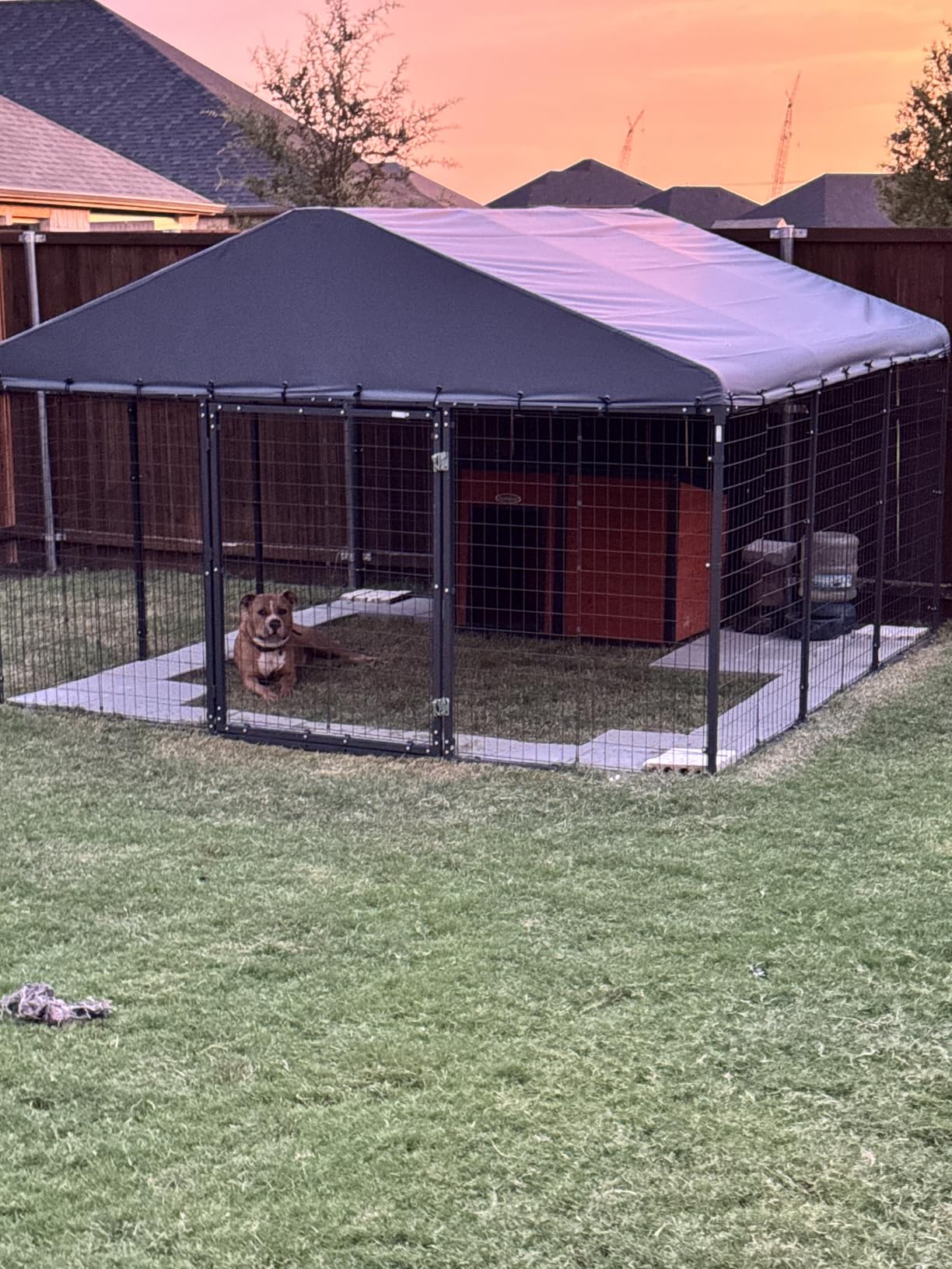 Gotland Dog Kennel Outdoor 10 x10 x6 FT, Dog Cage Outdoor for Medium/Large Dogs with Waterproof Roof Double Secure Locks Ground Spikes, All Weather Heavy Duty Dog Enclosure customer photo 2