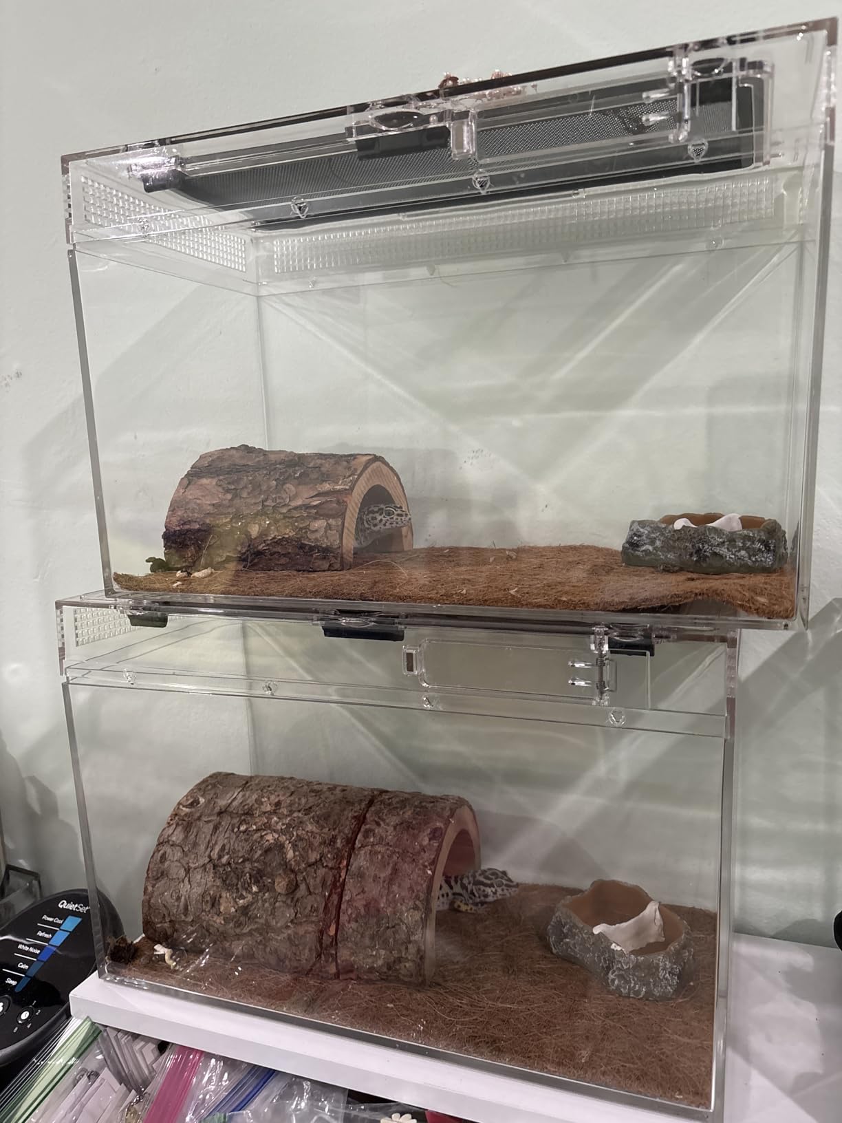 Mini Reptile Terrarium Set, 11.8