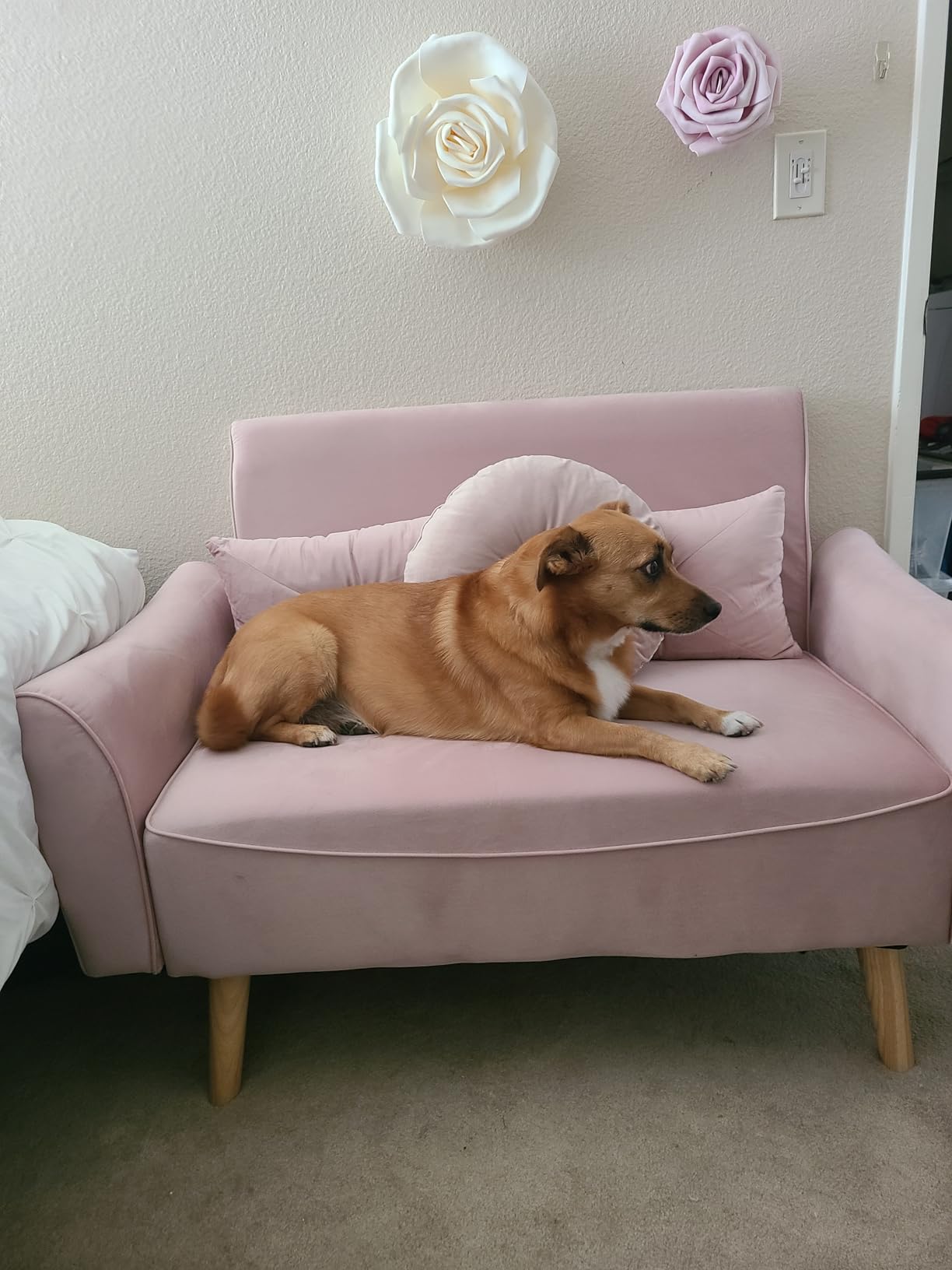 Brelice Loveseat Sofa, 47