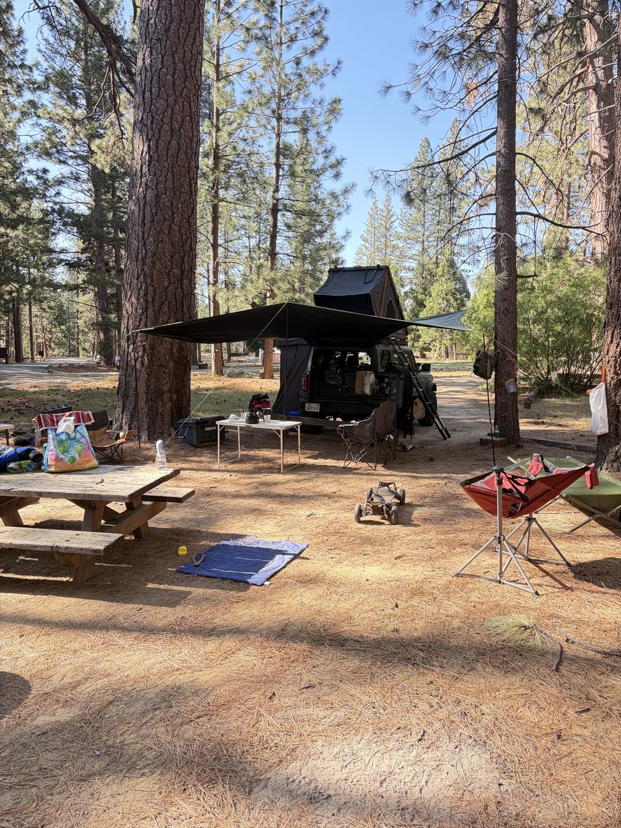 TIMBER RIDGE 19x9.8ft Retractable Vehicle Awning with Blackout Coating Roof Rack Pull-Out Sun Shade Overland Camping, Waterproof Sun Shelter for Car/Truck/Jeep/SUV/Van Green customer photo 1
