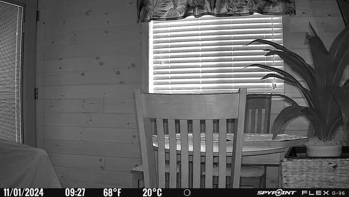 SPYPOINT Flex G-36 Camo Outdoor Cellular Trail Camera - 36MP Photos, 1080p Video with Sound, 0.3S Trigger Speed, 100 ft Flash and Detection Range, Improved Battery Life customer photo 1