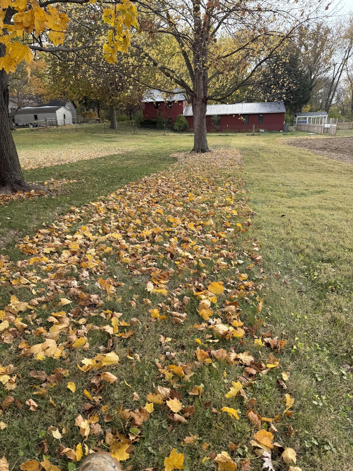 Agri-Fab Soft Top Mow-N-Vac Tow Behind Lawn Vacuum 208cc customer photo 1