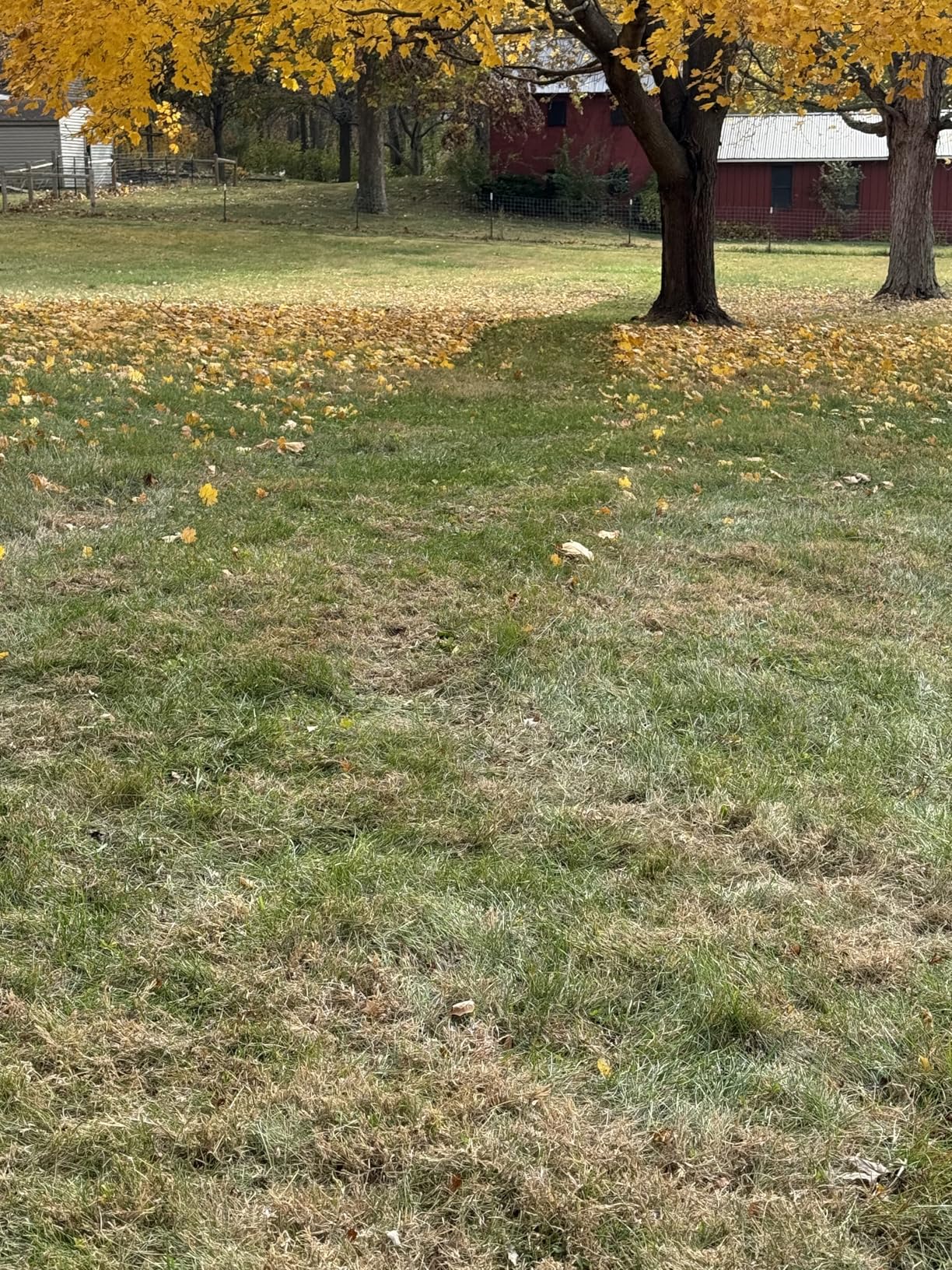 Agri-Fab Soft Top Mow-N-Vac Tow Behind Lawn Vacuum 208cc customer photo 2