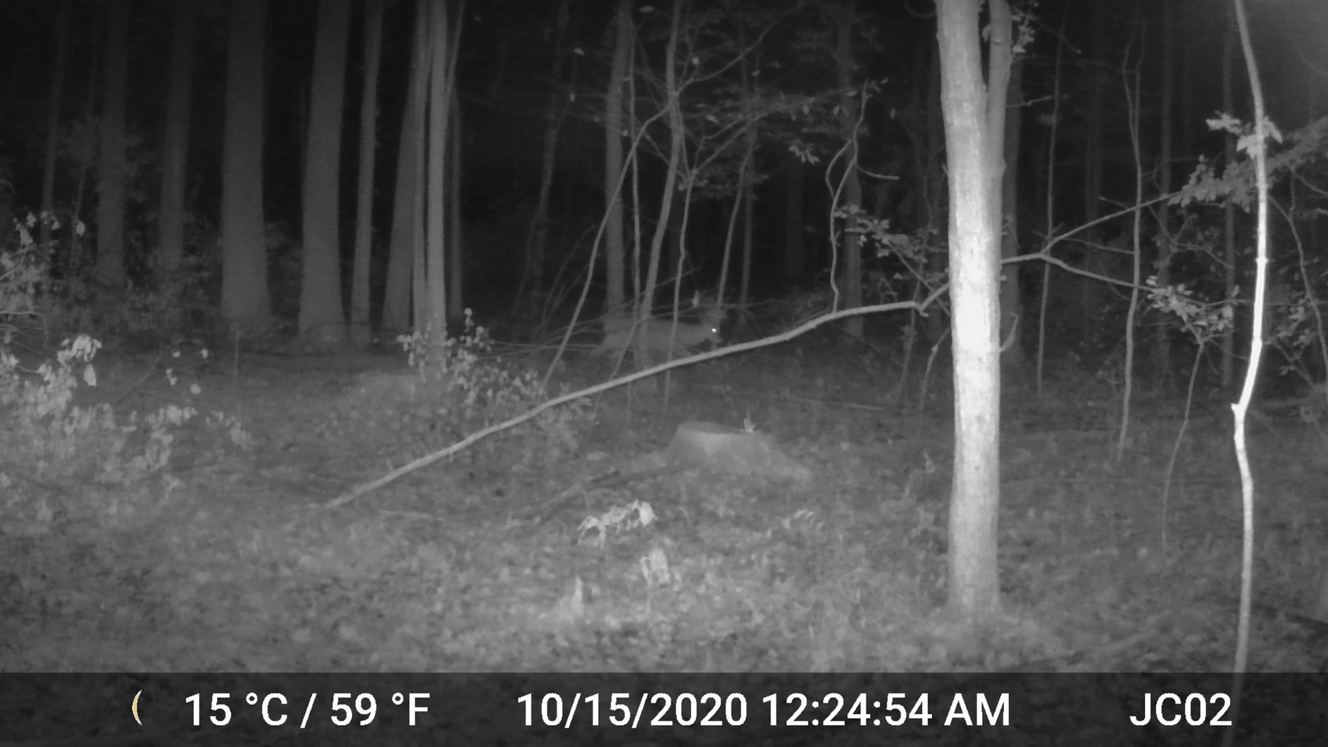 GardePro A3S 2-Pack Trail Camera (Non-Cellular, Non-WiFi) - 64MP Photo & 1296P HD Video, 0.1s Trigger, 100ft No-Glow Night Vision, Enhanced Low-Light Performance, Motion Activated Wildlife Camera customer photo 2