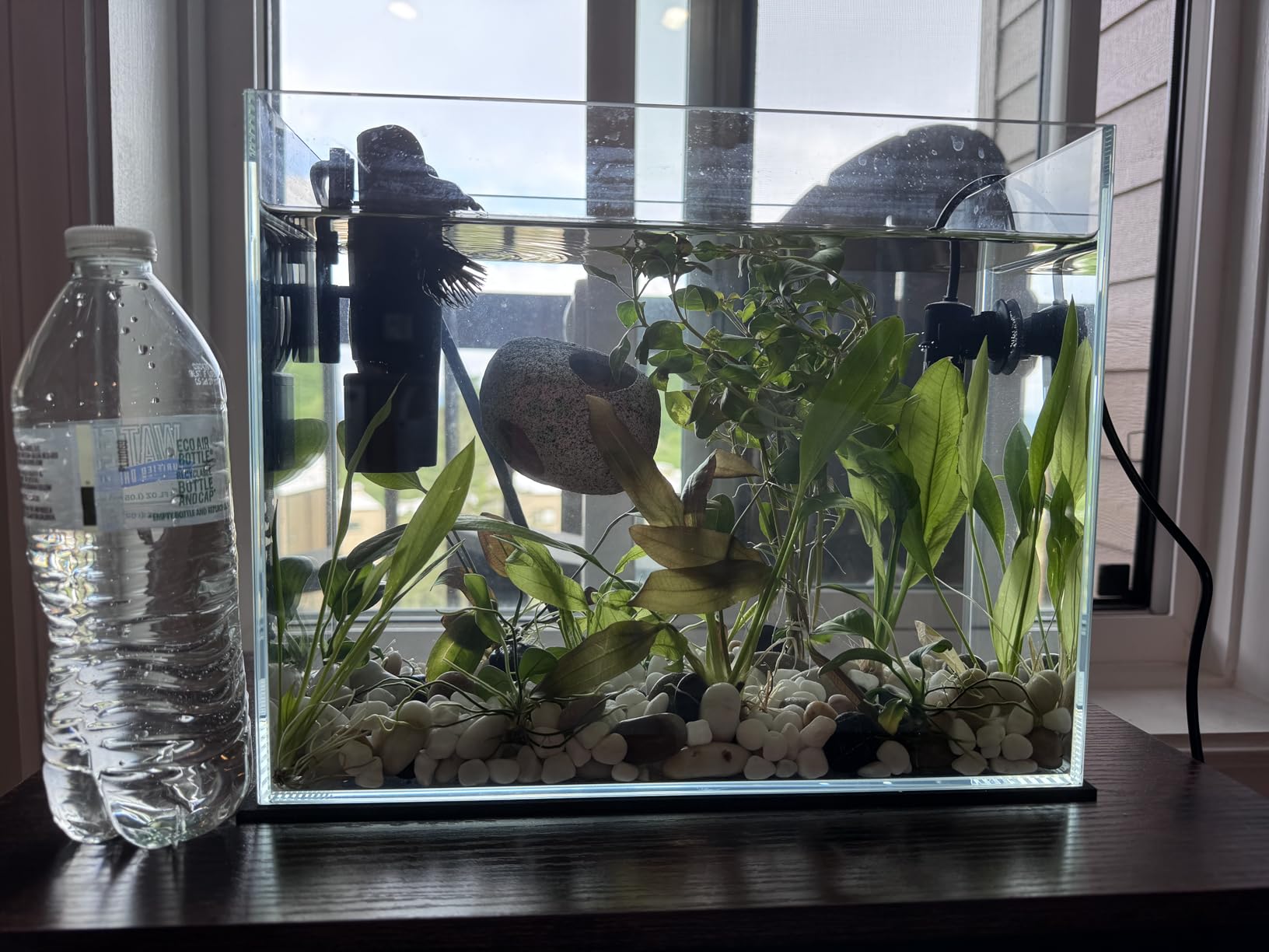 Vimvins 3 Gallon Glass Fish Tank, Easy to Maintain Small Aquarium for Betta/Goldfish/Snails/Shrimp and Aquatic Planting customer photo 2
