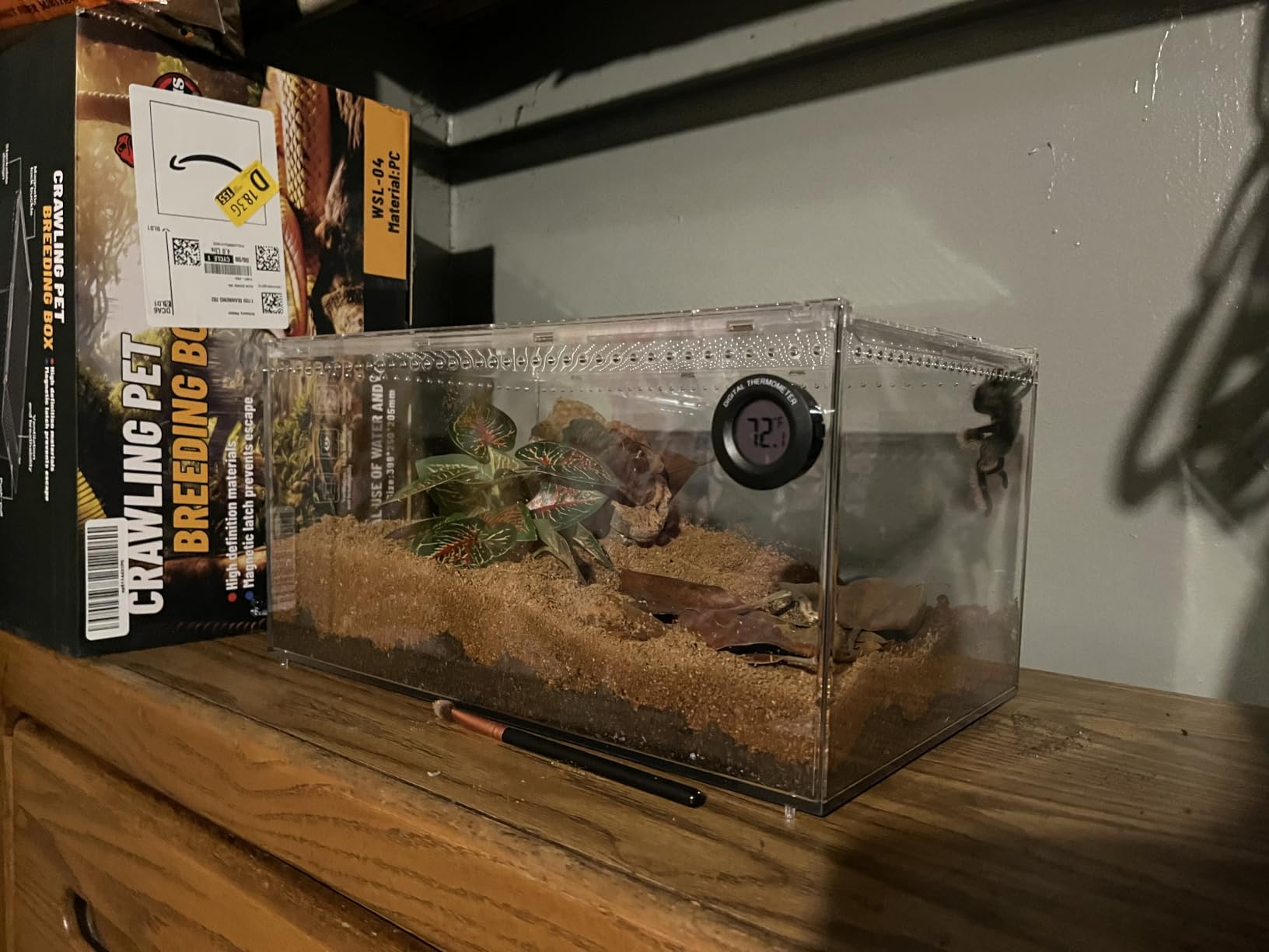 AZV Escape Proof Tarantula Enclosure, Polycarbonate Hermit Crabs Tank Large | Reptile Cage with Magnetic Lid, Ventilated Spider Terrarium, 360 Clear View for Gecko, Frogs, Insects customer photo 1