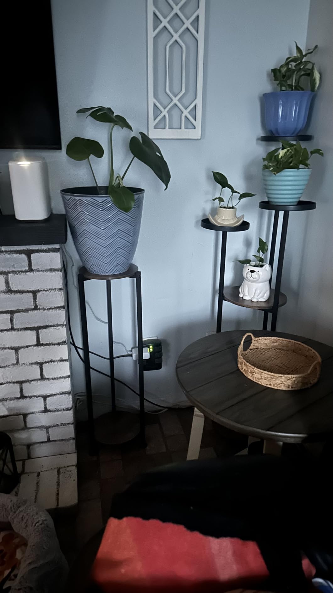 2 Tier Plant Stand Indoor Corner Tall Round Shape Plant Shelf | Modern Metal MDF board Flower Storage,Suitable tight spaces,Sturdy Holder for Multiple Plant,Living Room Balcony Garden,Black customer photo 2