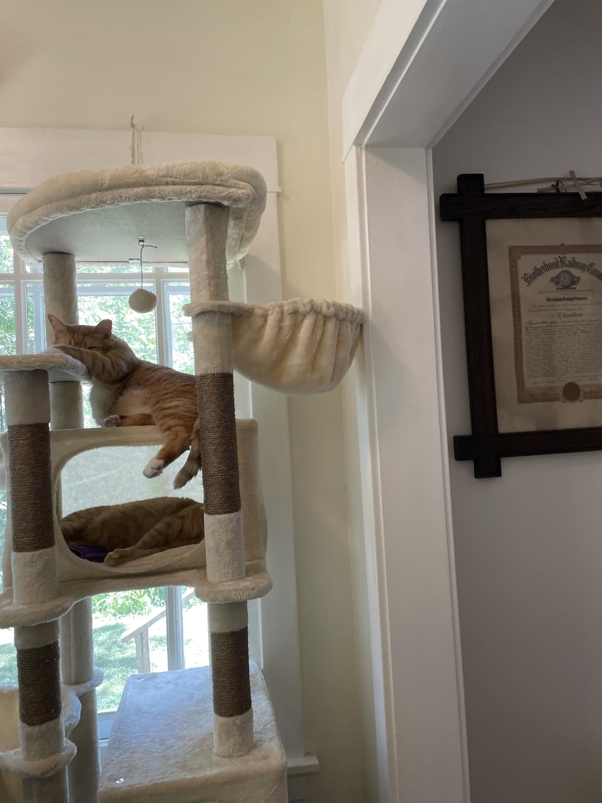 Globlazer Heavy Duty Cat Tree, 74in Sturdy Cat Tower for Large Cats Adult, Big Cat Tree with 7 Sisal Scratching Posts, 2 Padded Condos, 2 Dual-Ear Hanging Baskets, Enlarged Top Perch, S74, Dark Grey customer photo 2