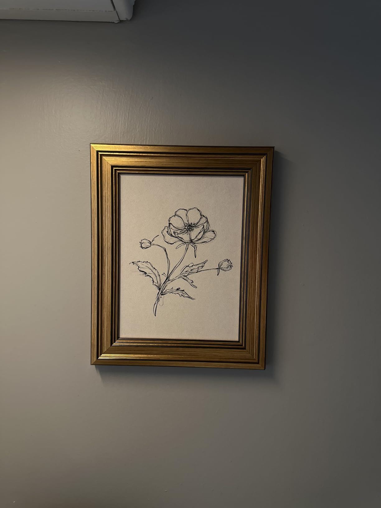 VIYYIEA Vintage Gold Framed Wall Art - Hummingbird Sketch, 8x10 IN customer photo 2