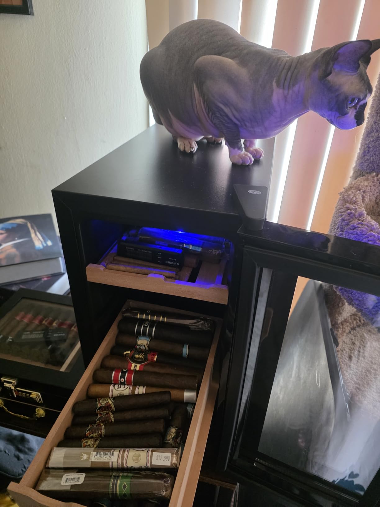 Electric Humidor, 25L 150 Counts Large Capacity, Thermostatic Cooling Humidor Cabinet with Spanish Cedar Wood Shelves, Digital LED Screen, Safety Lock customer photo 2