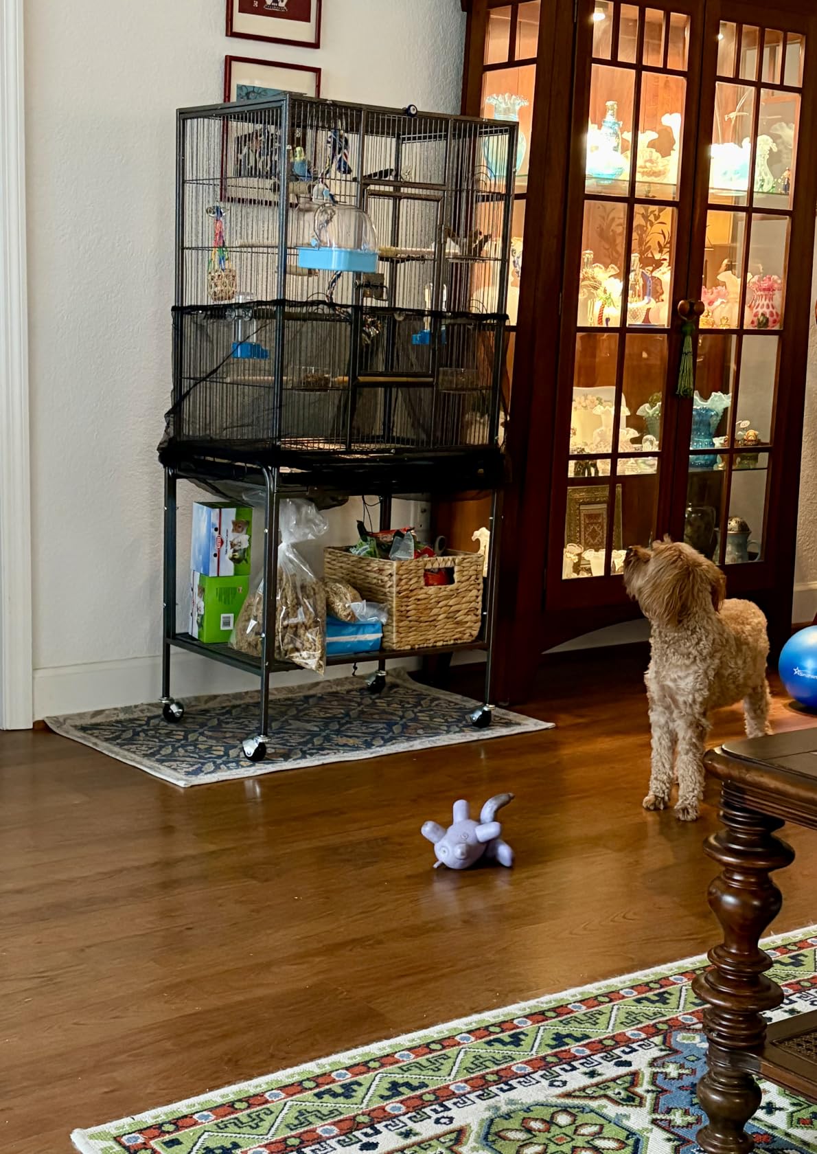 VINGLI 53-inch Bird Cage with Wheels, Durable Wrought Iron Parakeet Cage with Slide Out Tray, Black Bird Cages for Parakeets/Lovebird/Cockatiels/Budgies and Other Small/Medium Birds customer photo 1