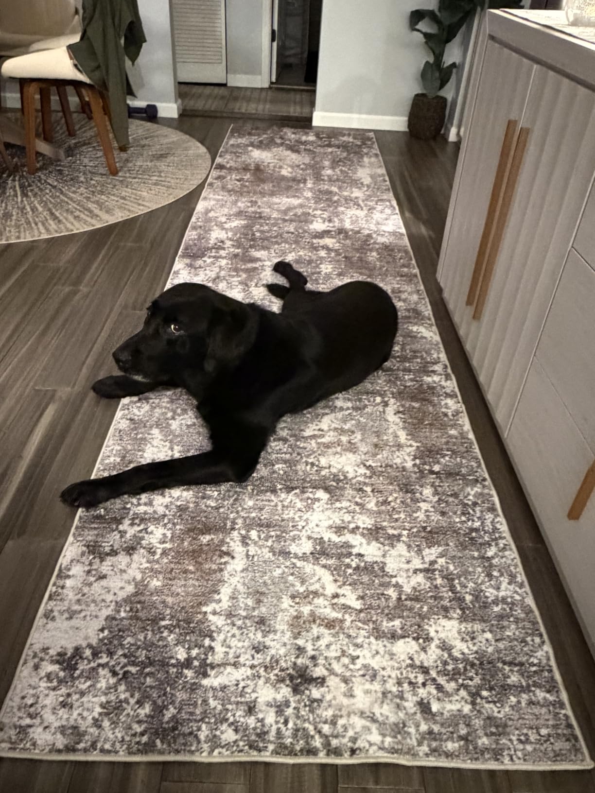 3x10 ft Long Hallway Runner Rug - Non-Slip Washable Kitchen Floor Rug with Rubber Backing, Modern Low Pile Thin Wide Carpet Runners for Bedroom, Entryway Indoor (Brown Beige,3x10) customer photo 2