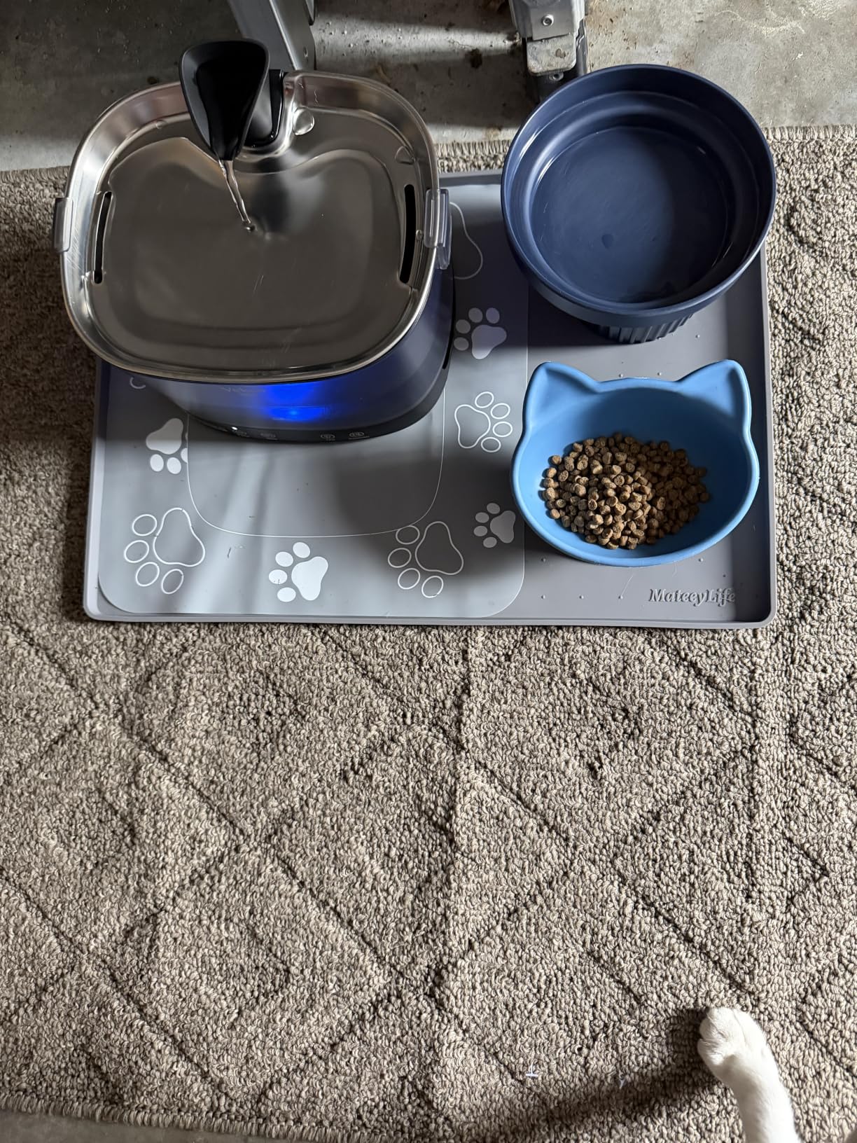 Veken Cat Water Fountain with Detachable Tank & Secure Clips, Easy to Clean & Assemble, 85oz/2.5L Pet Drinking Dispenser with Quiet Operation & LED Light, Gifts, Cats, Dogs and Small Pets, Black customer photo 2