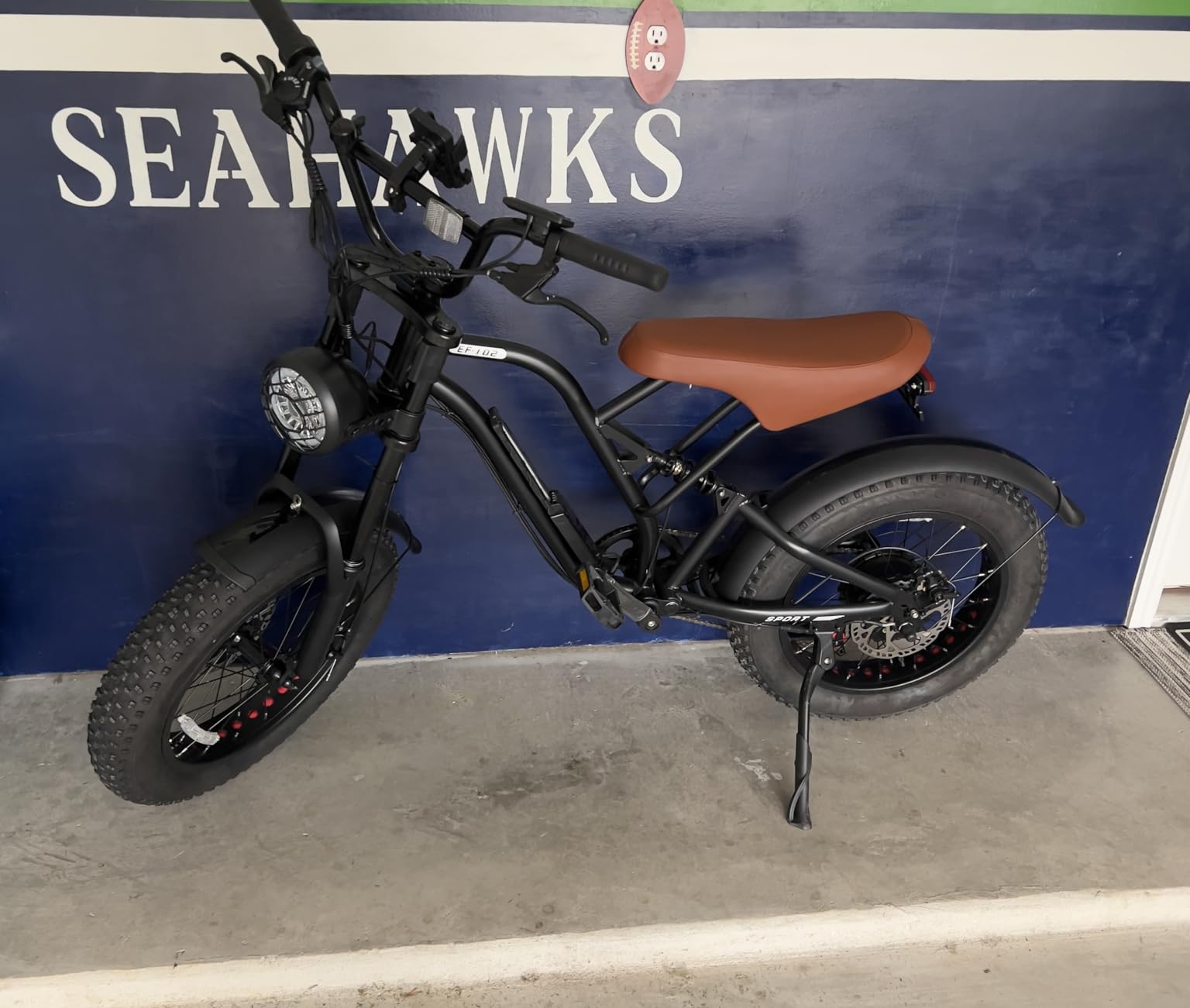 Electric Bike for Adults 48V/20AH Battery 1500W Peak Motor, 20