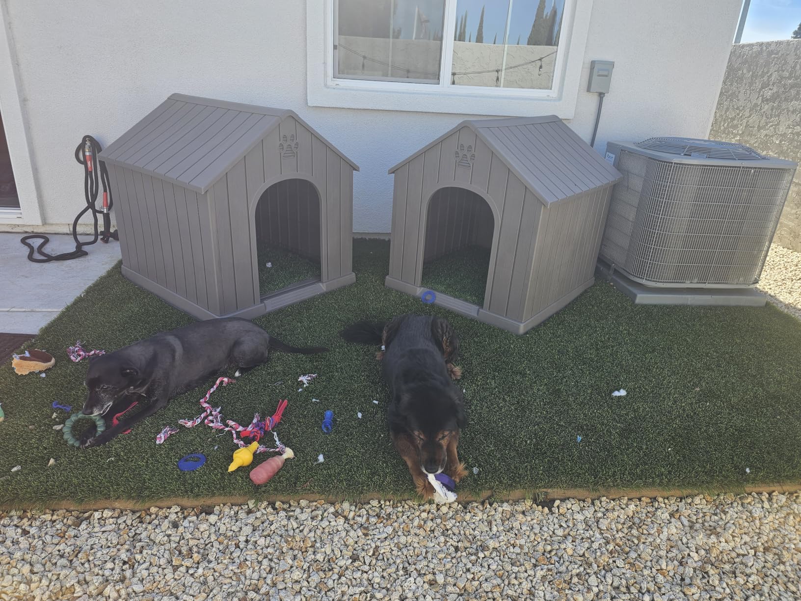 Fancyango Large Dog House Outdoor Indoor for Medium Large Dogs, Sturdy Plastic Waterproof Doghouse with Air Vents and Elevated Floor, Easy Clean and Assemble (Blue, 36.2''L×38''W×38''H) customer photo 2