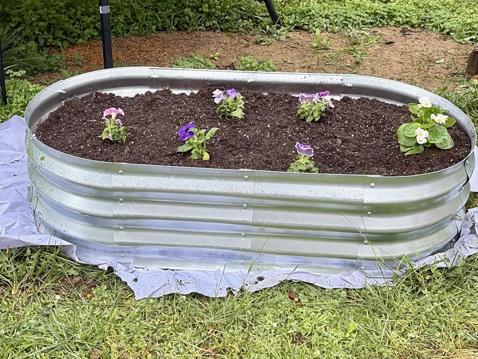 Galvanized Raised Garden Bed Kit, Planter Garden Boxes Outdoor, Oval Large Metal for Vegetables Fruits, Flowers Planter Boxes, Easy Assembly Garden Bed Kit (Silver, 4x2x1FT (2-Pack)) customer photo 1