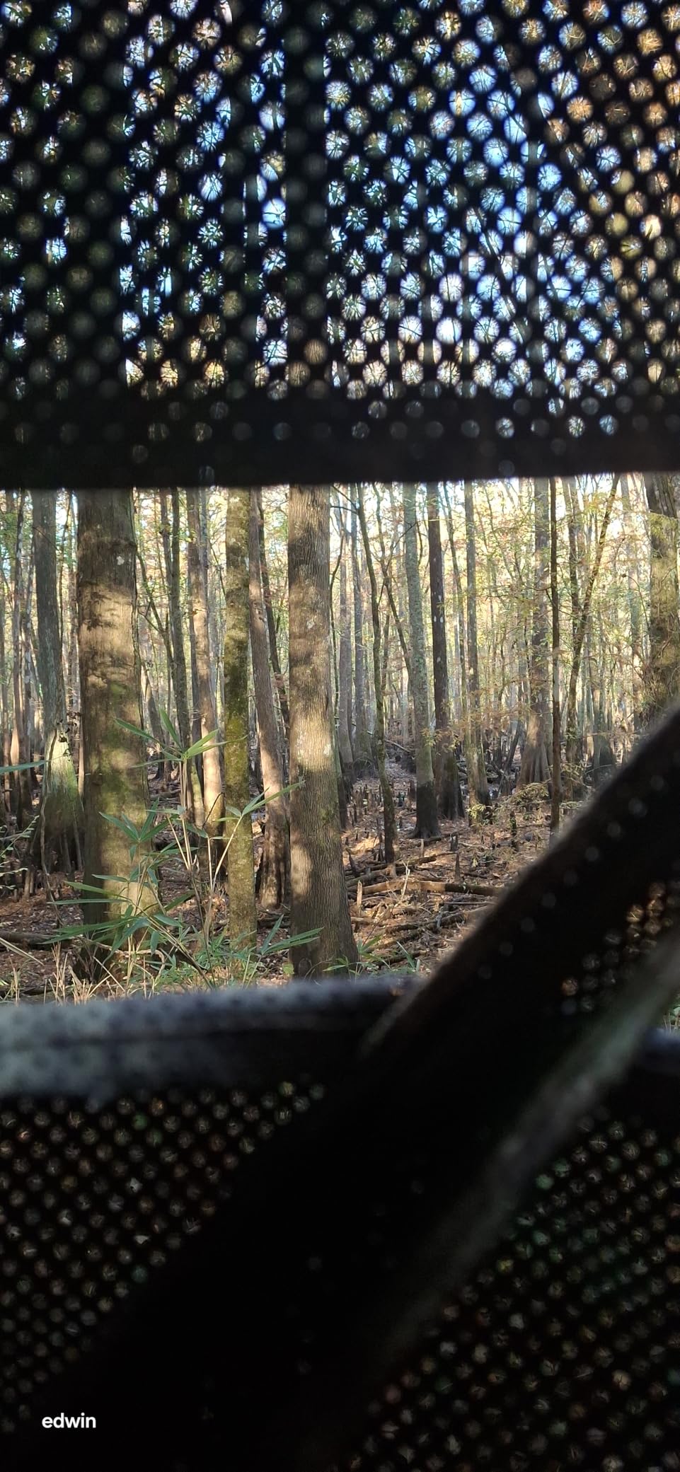 TIDEWE Hunting Blind 270 Degree Full See Through with Windproof Curtain Silent Magnetic Door and Sliding Windows Pop Up Ground Blind with Carrying Bag 300D Portable Tent Switchable Full and Half View Pop Up Deer Blind 3 Trapezoid Windows Silent Magnetic Door Bow Hunter Friendly 300D Fabric customer photo 2