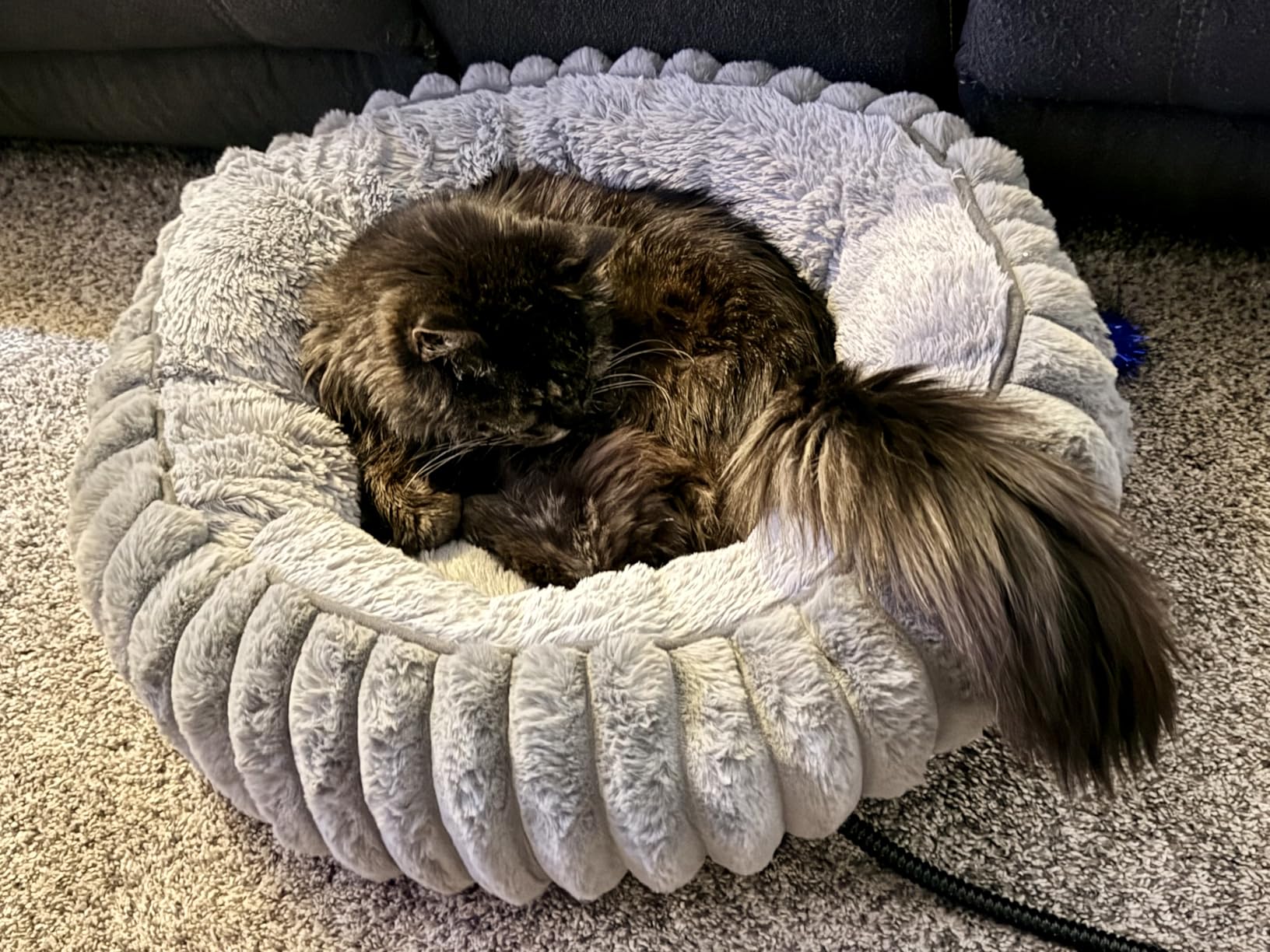 Heated Cat Beds for Indoor Cats and Small Dogs, 20