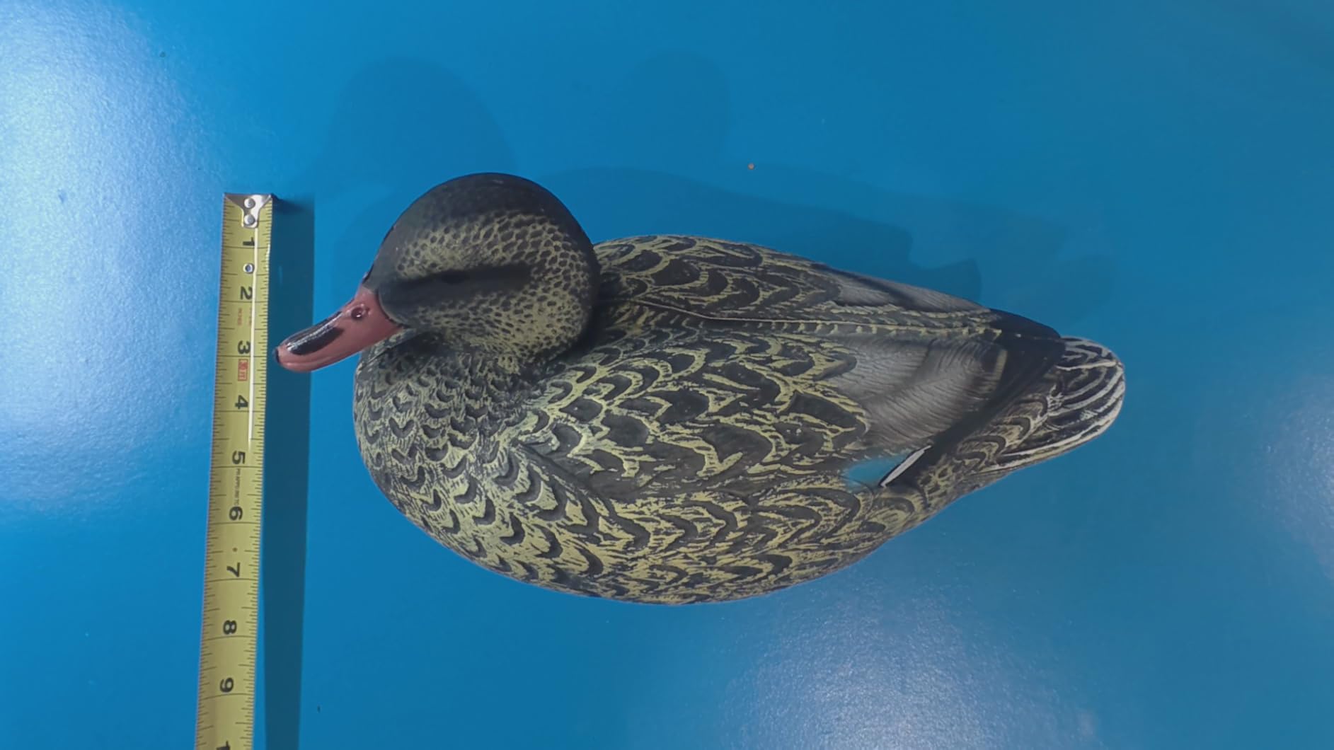 5 PCS Floating Mallard Duck Bait Set - 2 Adult 3 Ducklings, Realistic Resin Floating Duck Bait Home Pack customer photo 2
