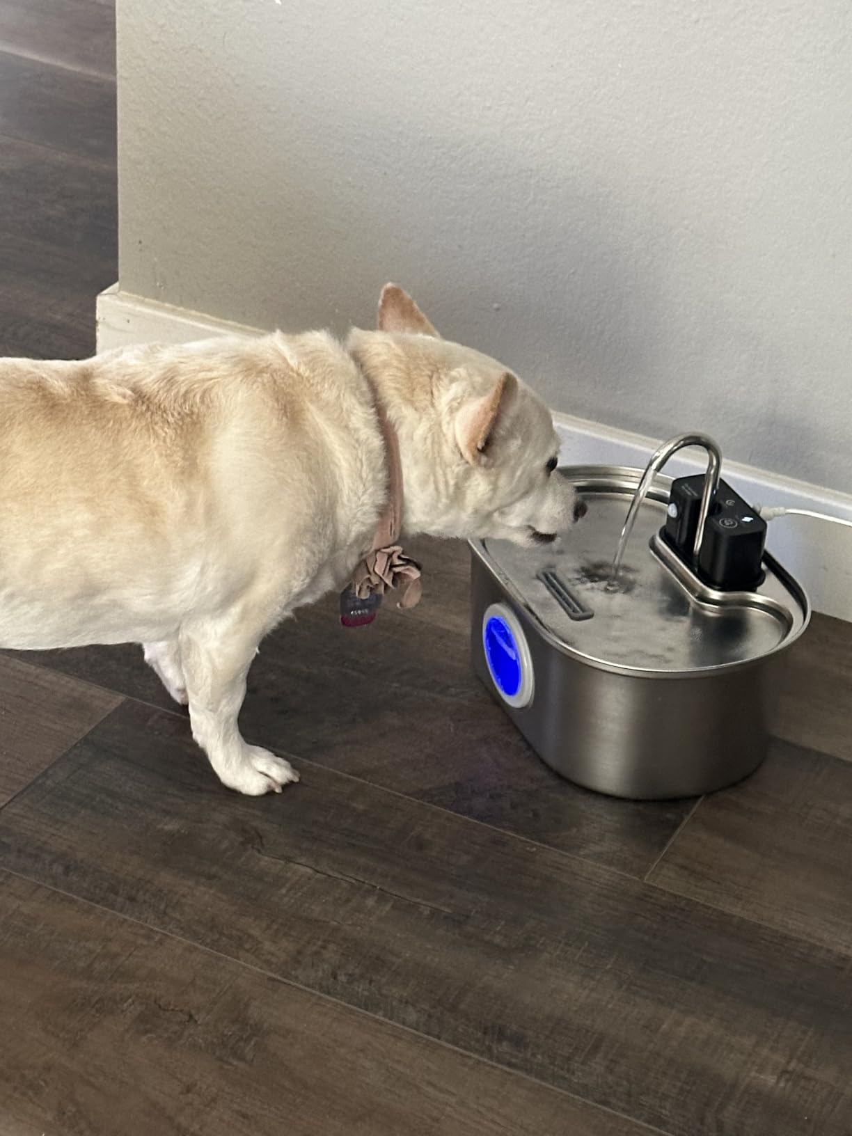 PEKTACO Wireless Cat Water Fountain, 108oz/3.2L Stainless Steel, 3 Filters | 3 smart modes, 25 dB quiet pump, multi-layer filtration, BPA-free parts, dishwasher-safe bowl, easy-clean for daily use customer photo 1