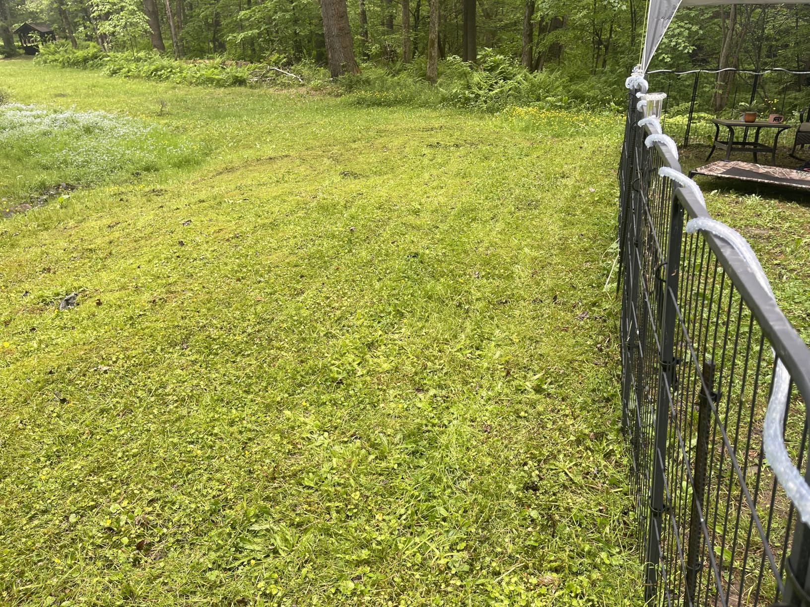 LawnMaster Electric Lawn Mower 12AMP 19-Inch ME1218X.01 customer photo 2