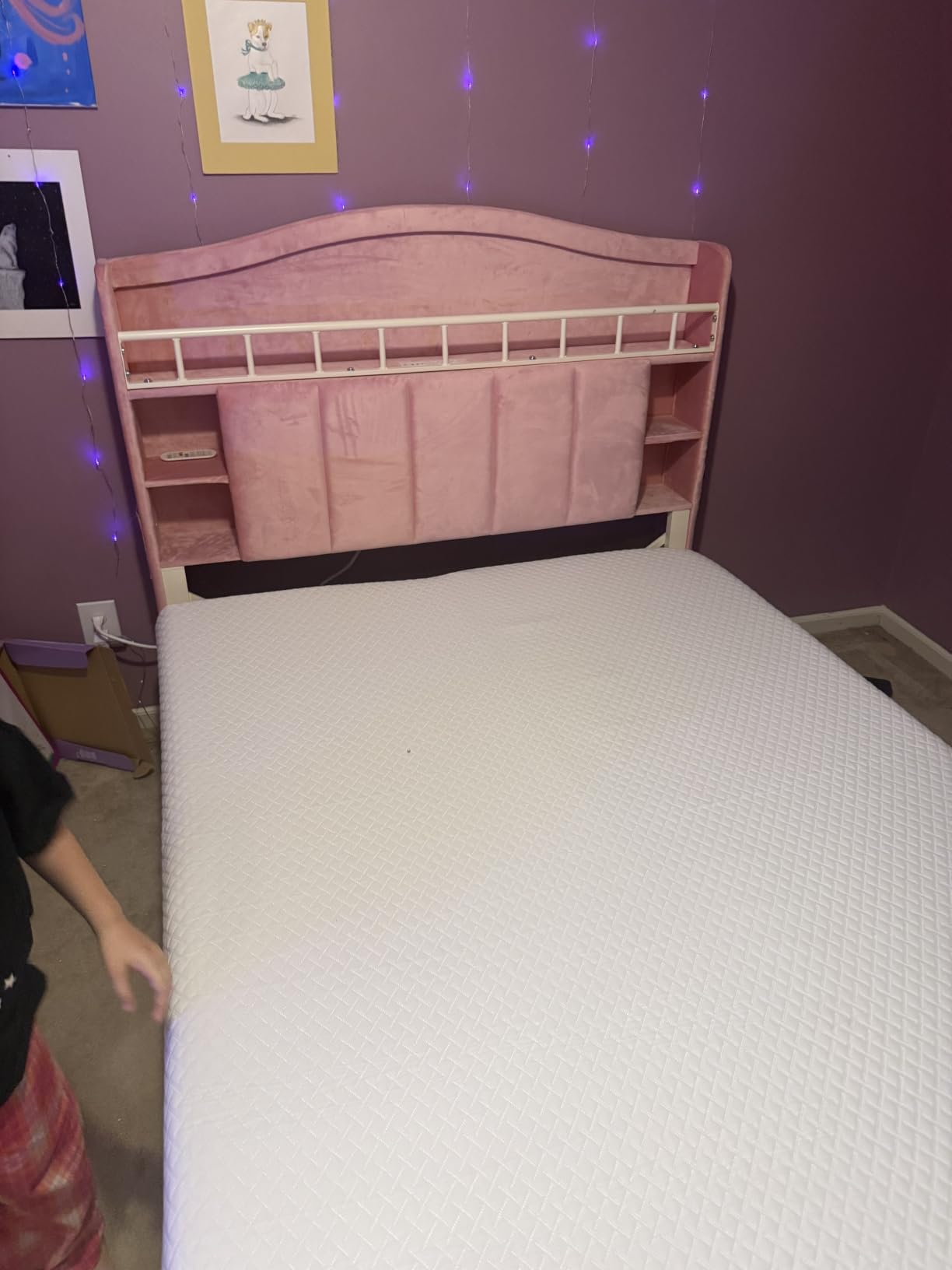 Twin Size Bed Frame with LED Storage Headboard & 2 Storage Drawers, Velvet Upholstered Bed with Vertical Tufted Headboard Design, USB & Type-C Charging Ports, Wooden Slats Support, Noise-Free, Beige customer photo 1