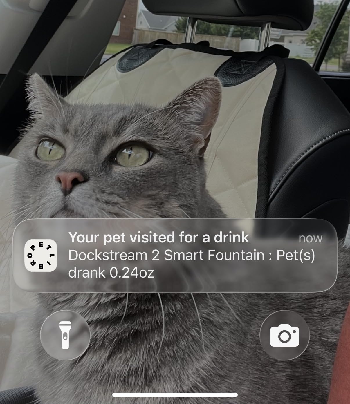 PETLIBRO Cats Water Fountain for Multi Cats, Cat Fountain with RFID Recognition Each Pet, 3L/101oz Pump-Free Cat Water Fountain Stainless Steel Tray, 2.4G Wi-Fi APP Pet Water Fountain x2 Collar Tags customer photo 1