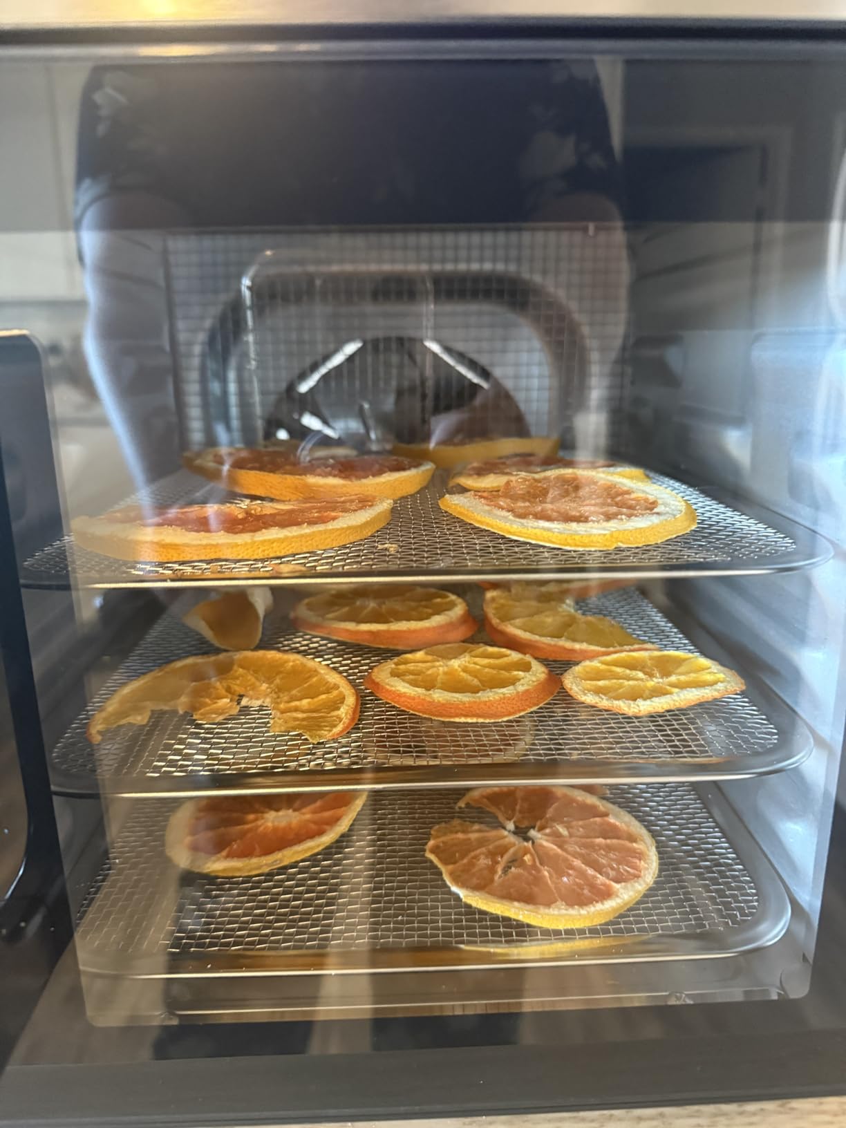 Magic Mill Premium DualZone Food Dehydrator, 16 Stainless Steel Trays with French Doors, Independent Temp Control, Rear Fan, Keep Warm Mode, for Jerky, Fruit, Veggies, Dog Treats, Meal Prep customer photo 2