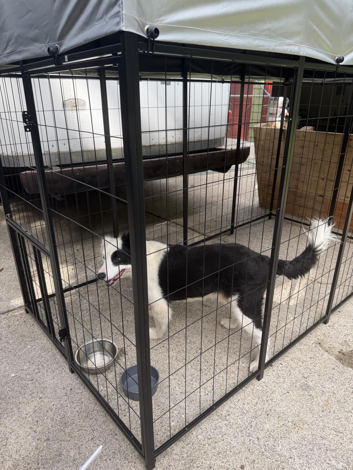 LOVMOR 8' x 4' Outdoor Dog Kennel with Roof for Large Dogs | Heavy duty steel frame, waterproof canopy, double latch door, adjustable feeding bowls for yards and patios customer photo 2