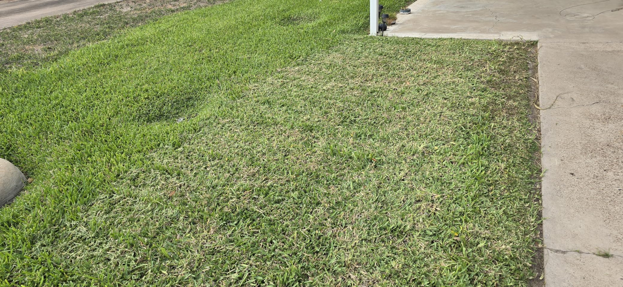 Small Electric Lawn Mower, Mini Cordless Lawn Mower with 2x4.0Ah Batteries | Lightweight Lawn Mower with Brushless Motor, 3 Cutting Heights, Ideal for Small Lawns, Tight Spaces, Patios & Lawn Care customer photo 2