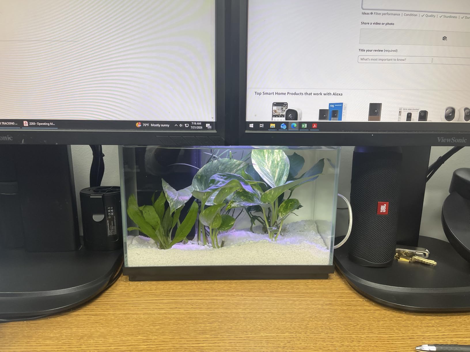 2.2 Gallon Small Fish Tank, Betta Fish Aquariums Black | with 4-in-1 Filter Pump, LED Light, Temperature Display, Fan & Surface Intake Design customer photo 1
