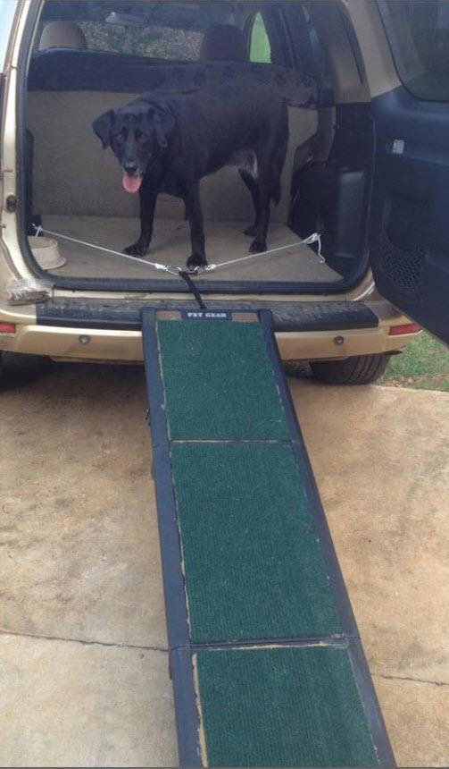 Pet Gear Travel Lite Ramps for Dogs and Cats, Terracotta | Compact Easy-Fold, Lightweight and Portable, Built-In Carry Handle, Supports 200 lbs, Size 71