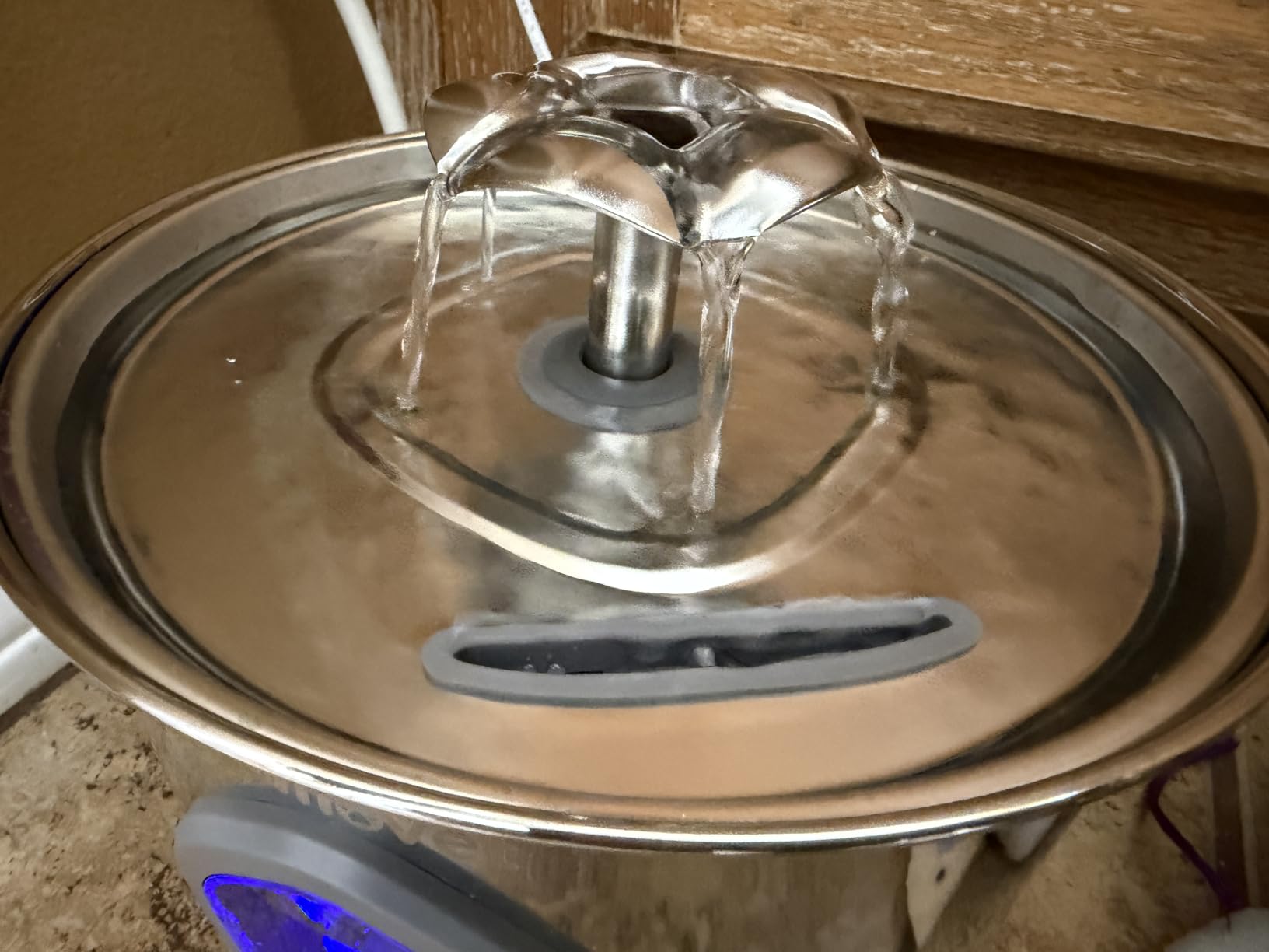 Cat Water Fountain Stainless Steel, 2.8L Quiet Dog Water Fountain | Automatic Quiet Pet Drinking Fountain, Water Level Window, 2 Filters & 2 Sponges - Gift for Small Animals like Dog & Kitty customer photo 1