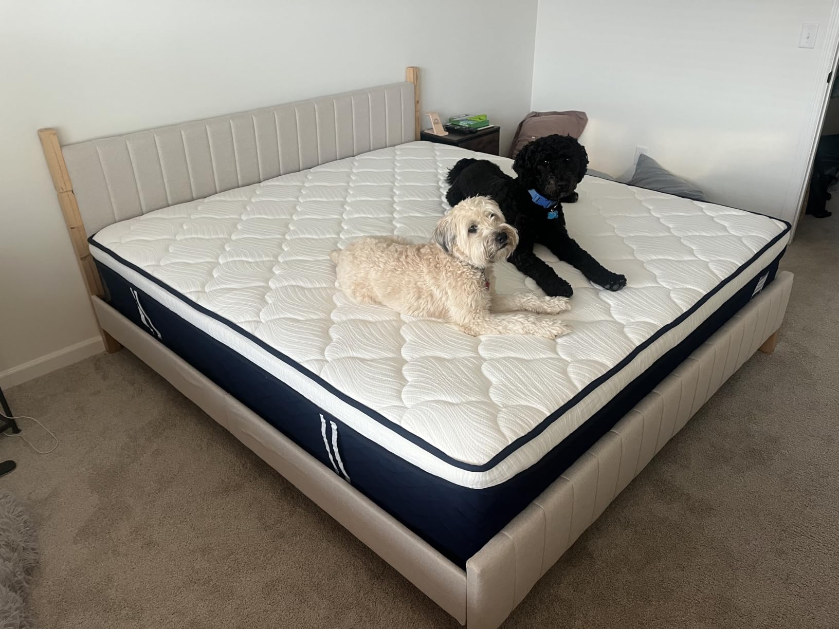 Extra Firm King Mattress 14 Inch - Hotel Collection Hybrid Mattress with 7-Zone Support for Spinal Alignment & Back Pain Relief, 366-Night Trial, CertiPUR-US & Forever Warranty customer photo 1