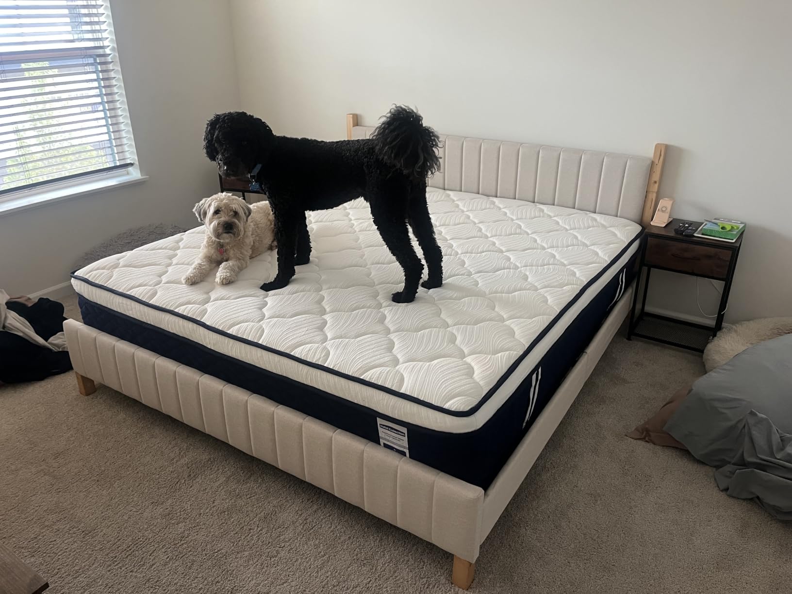 Extra Firm King Mattress 14 Inch - Hotel Collection Hybrid Mattress with 7-Zone Support for Spinal Alignment & Back Pain Relief, 366-Night Trial, CertiPUR-US & Forever Warranty customer photo 2