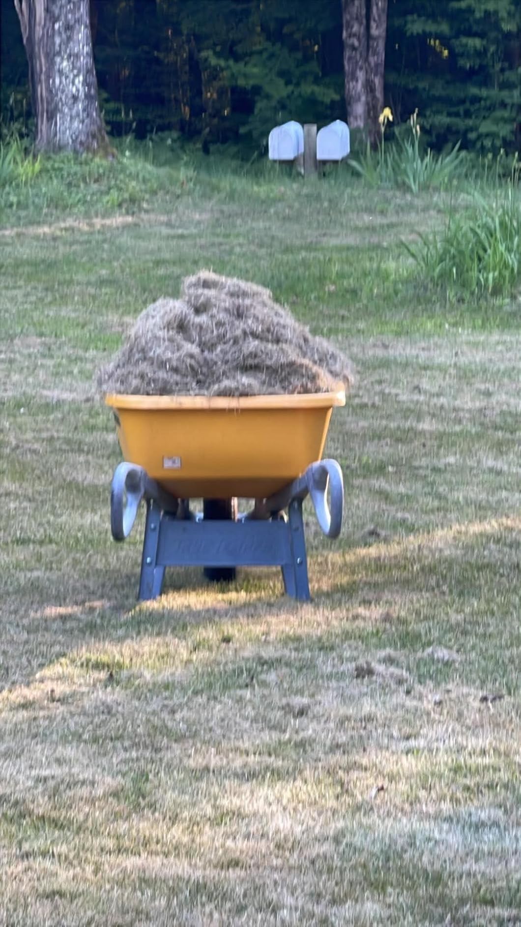 Agri-Fab 48-Inch Tow Behind Lawn Dethatcher with 24 Durable Spring Steel Tines and Universal Hitch customer photo 1